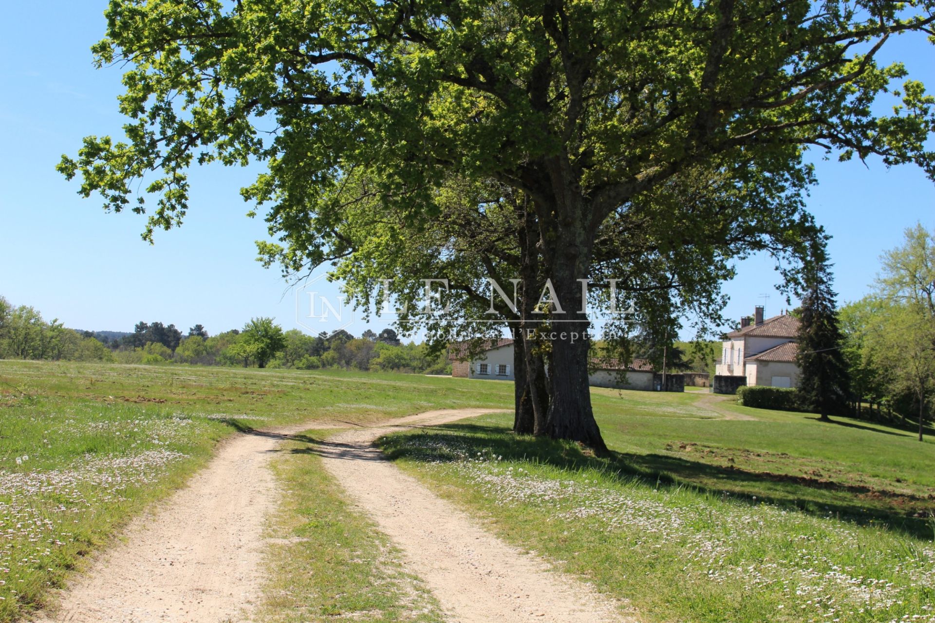 property 30 rooms for sale on BORDEAUX (33000)