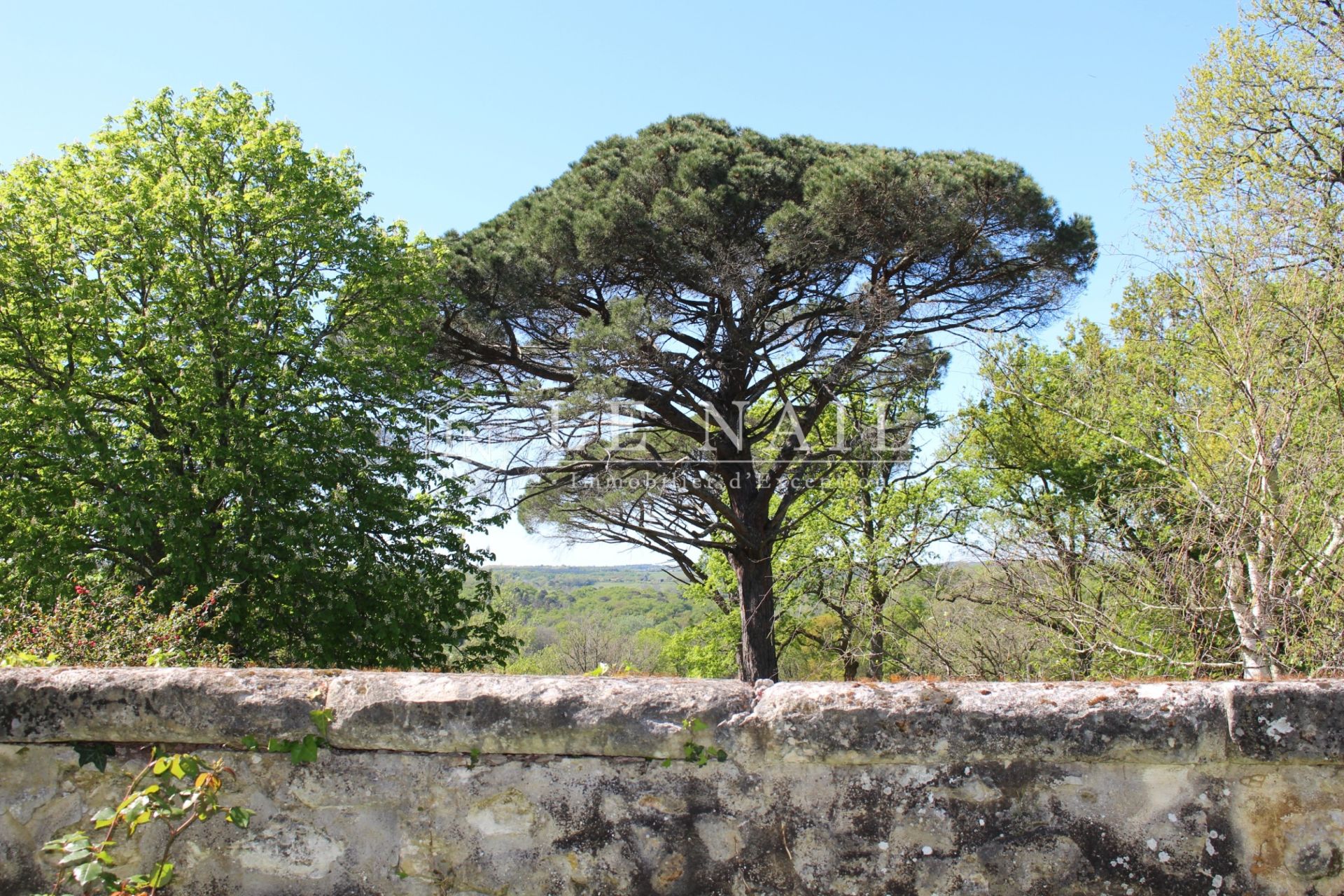 property 30 rooms for sale on BORDEAUX (33000)