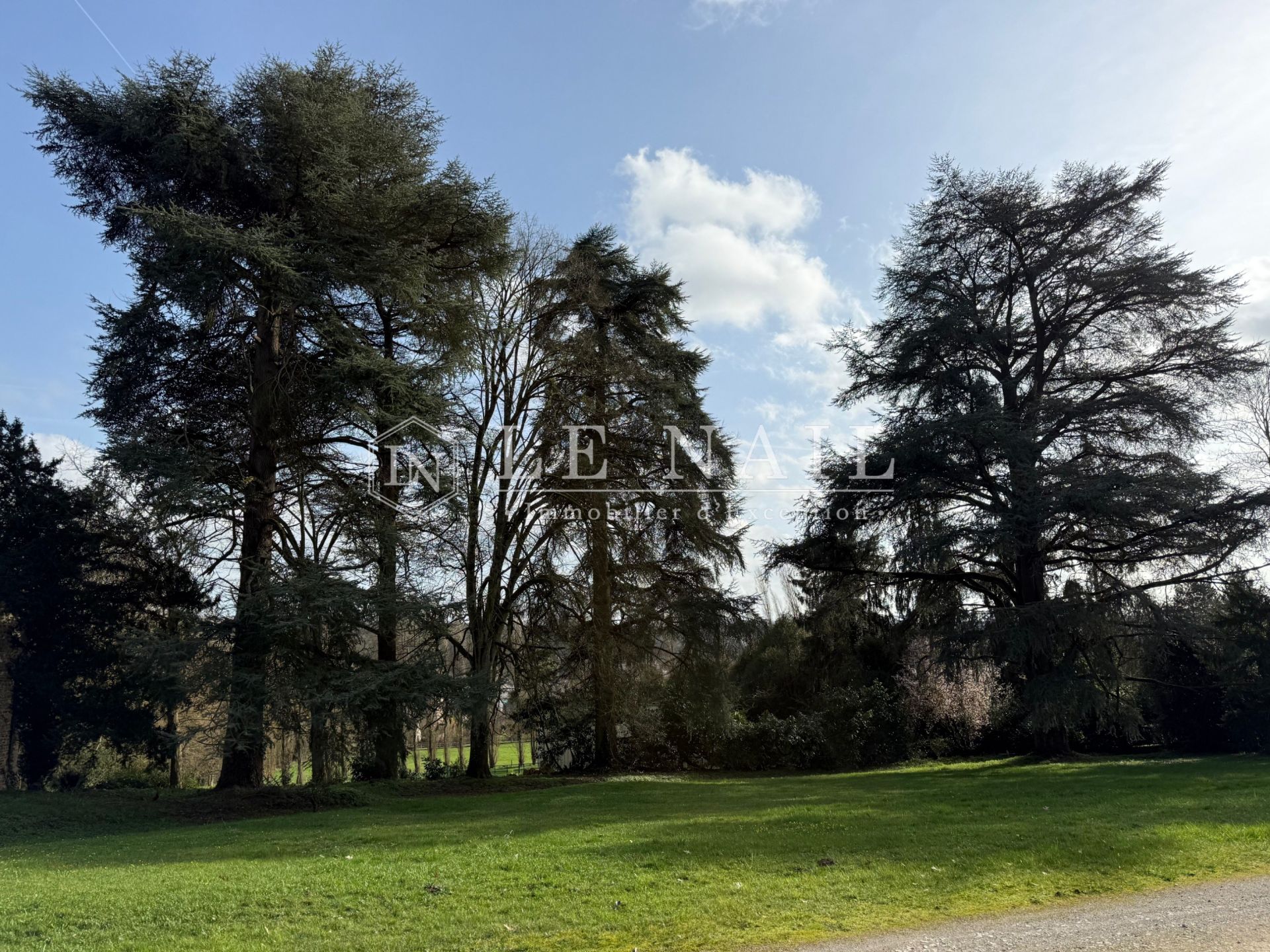 château 19 pièces en vente à LAVAL (53000)