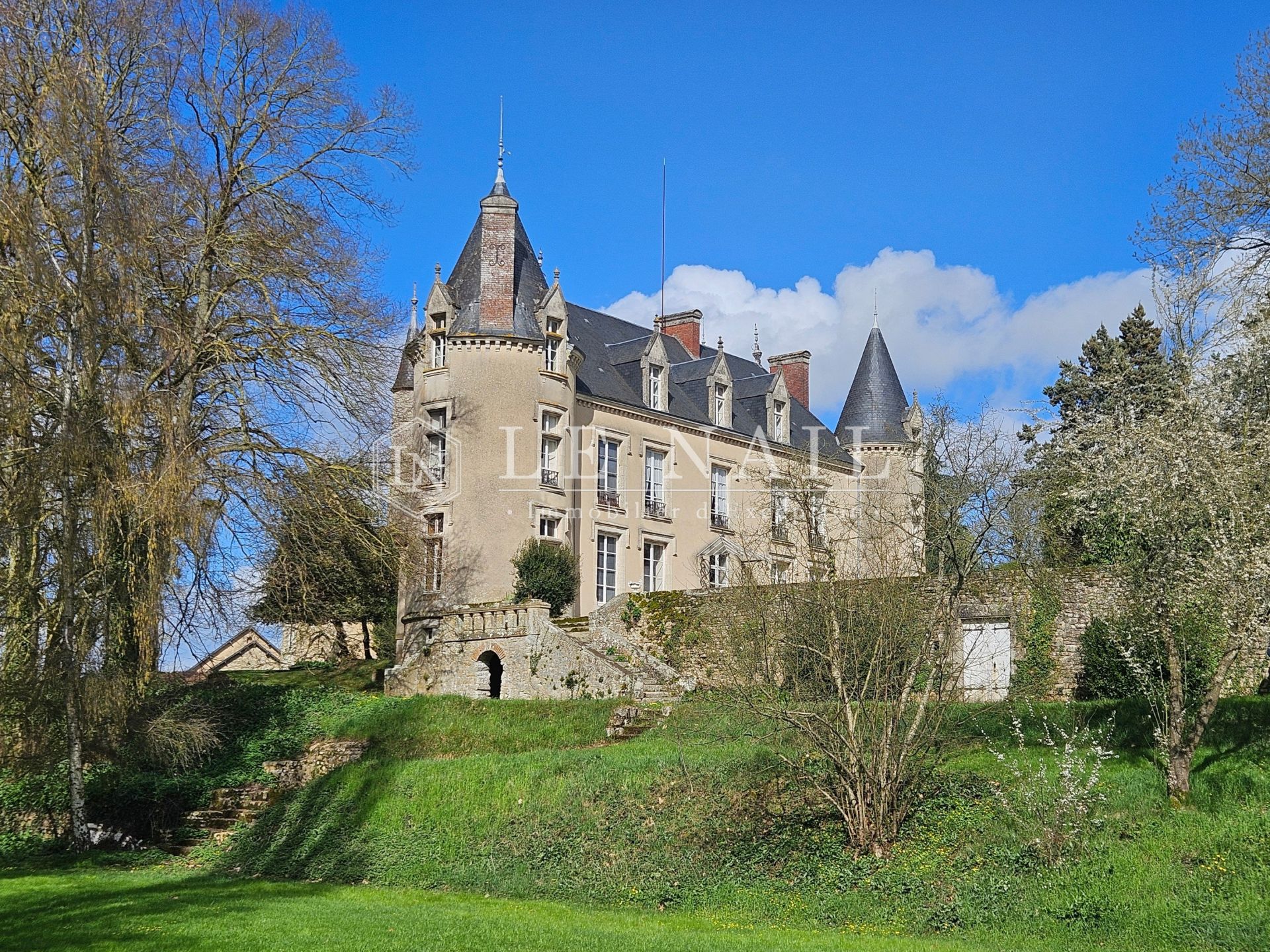 castle 19 rooms for sale on FRESNAY SUR SARTHE (72130)