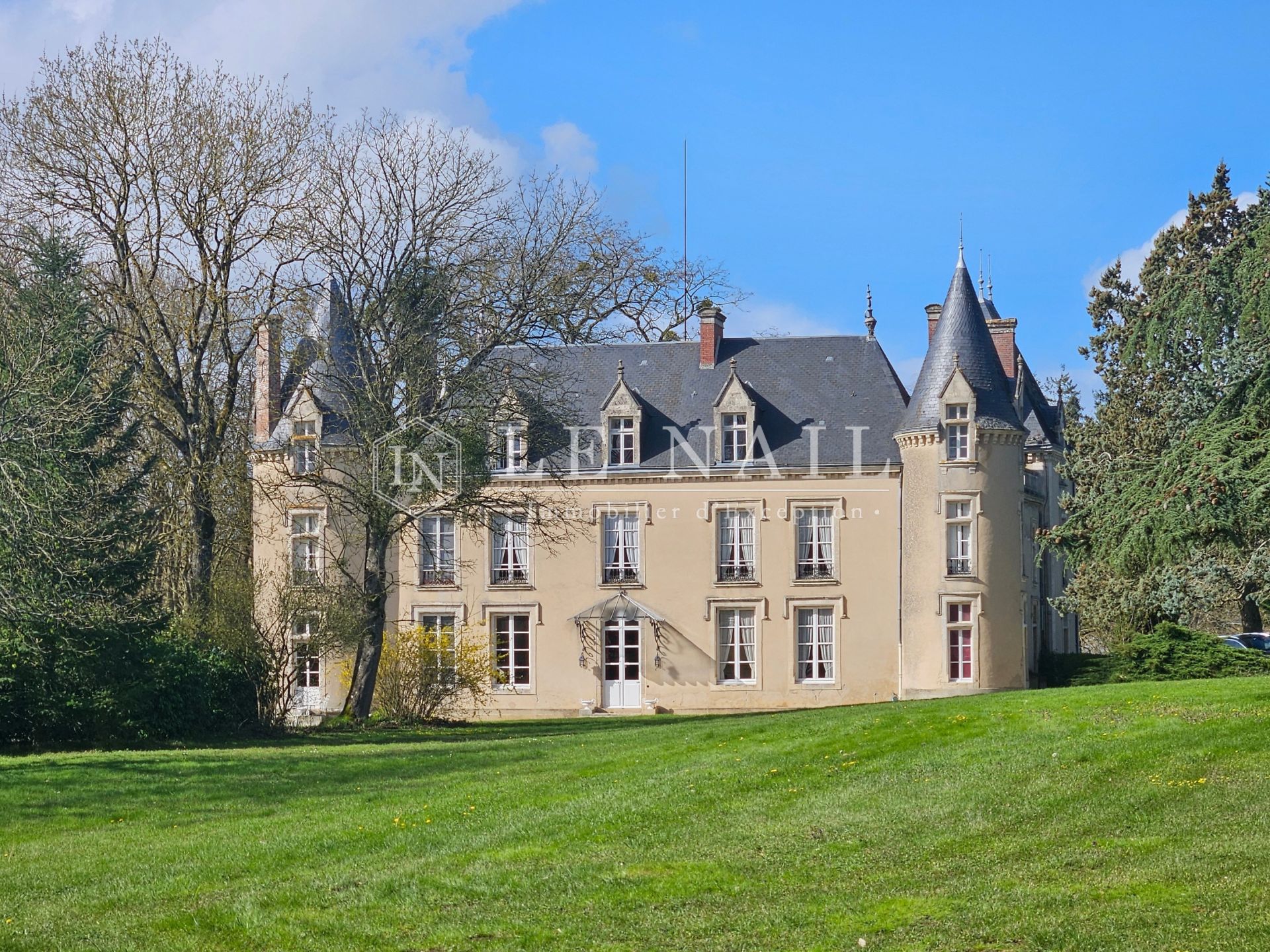 castle 19 rooms for sale on FRESNAY SUR SARTHE (72130)