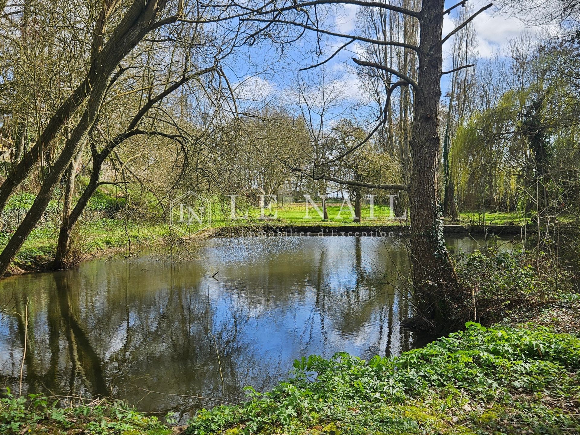 castle 19 rooms for sale on FRESNAY SUR SARTHE (72130)