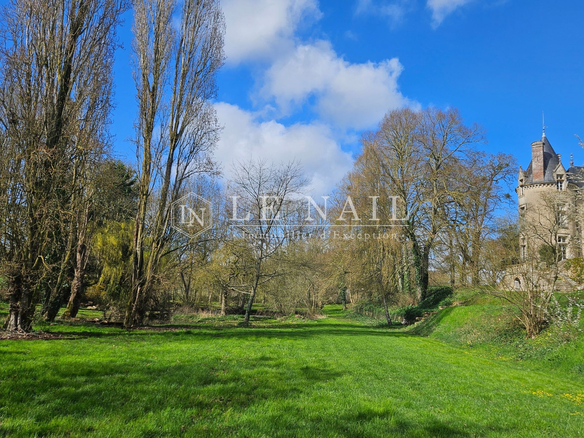 castle 19 rooms for sale on FRESNAY SUR SARTHE (72130)