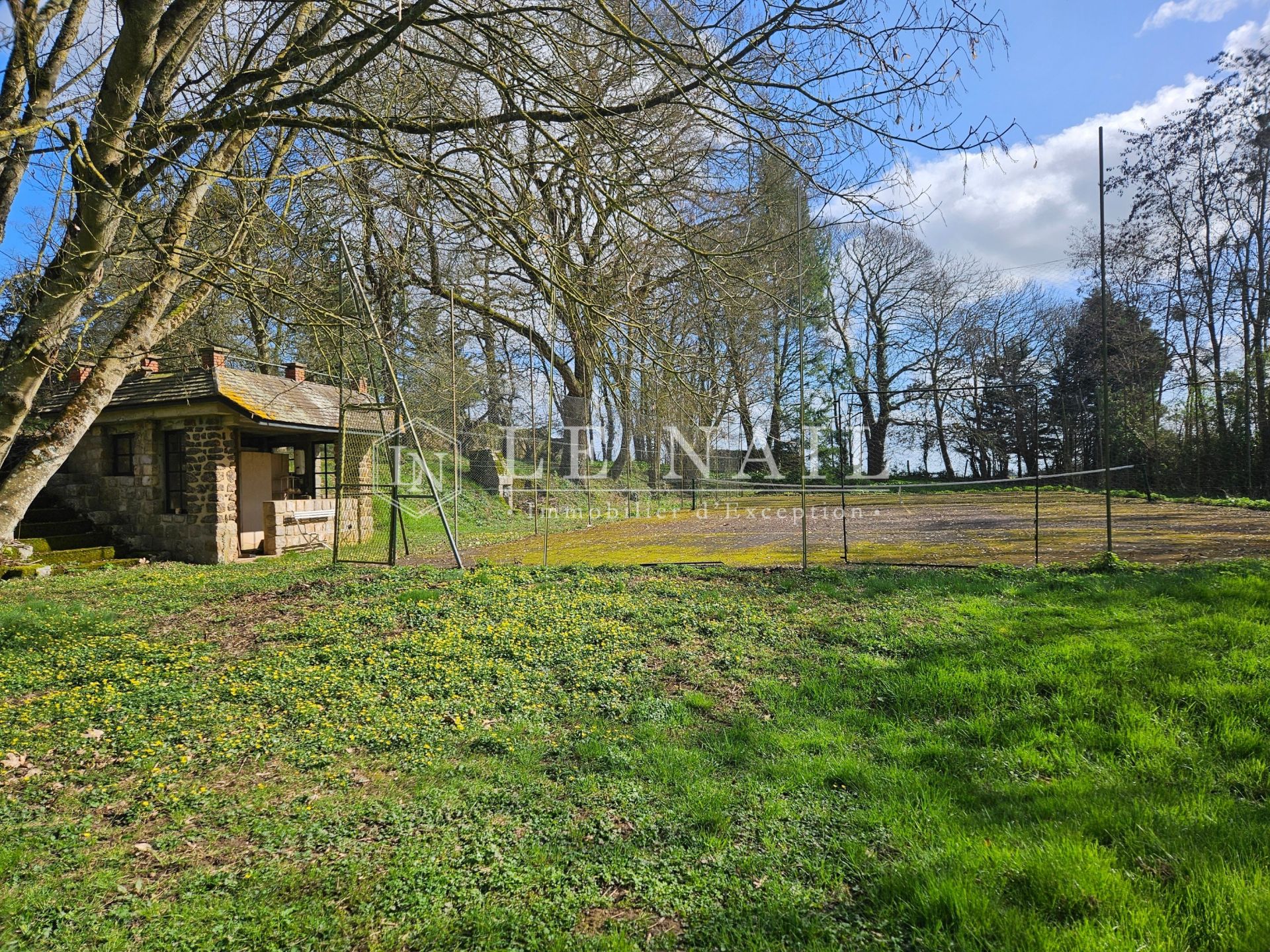 castle 19 rooms for sale on FRESNAY SUR SARTHE (72130)