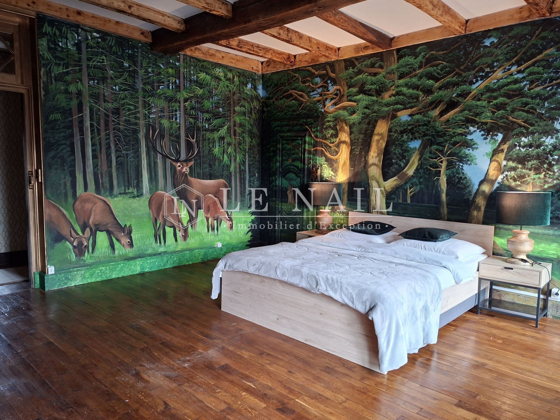 manoir 21 pièces en vente à CHATEAUVILLAIN (52120)