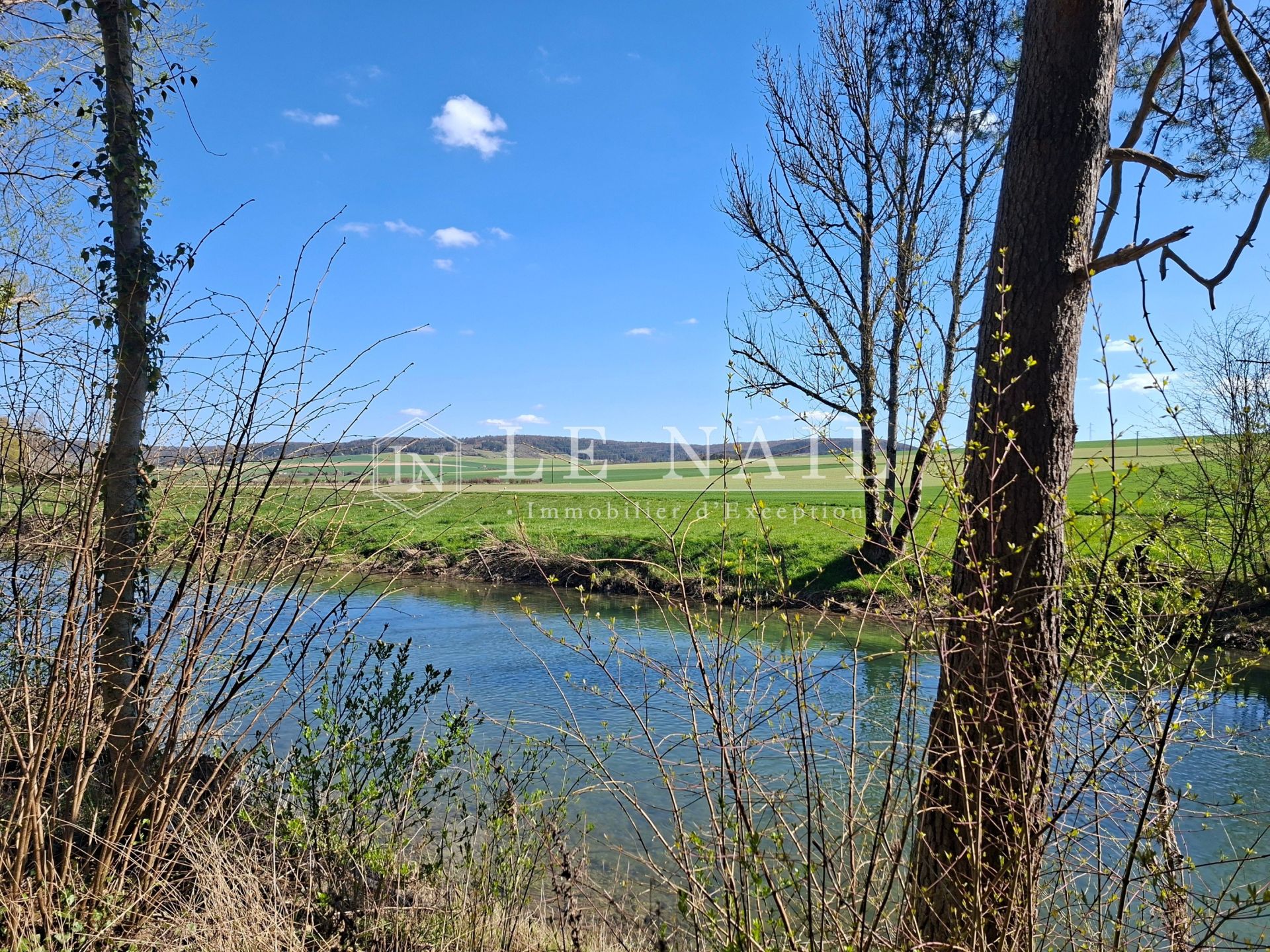 manor house 21 rooms for sale on CHATEAUVILLAIN (52120)