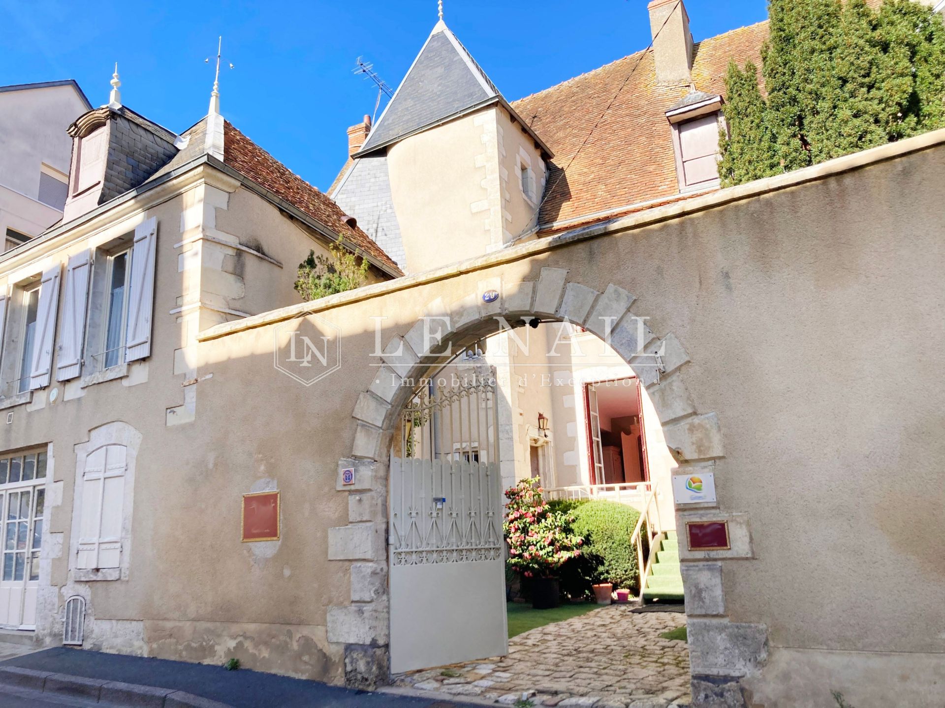 hôtel particulier 10 pièces en vente à ISSOUDUN (36100)