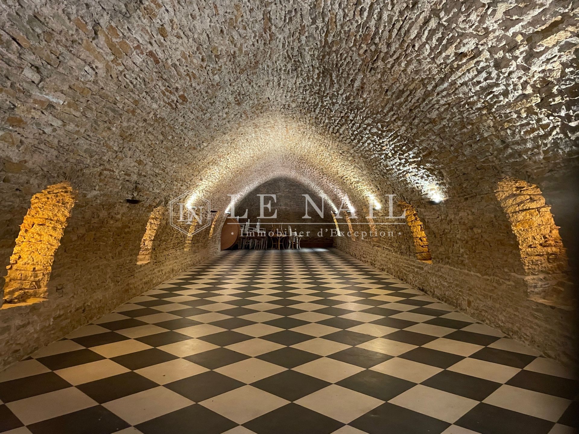 château 30 pièces en vente à MACON (71000)