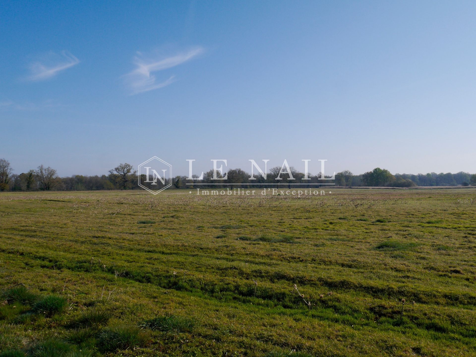 hunting estate 11 rooms for sale on CHATEAUROUX (36000)