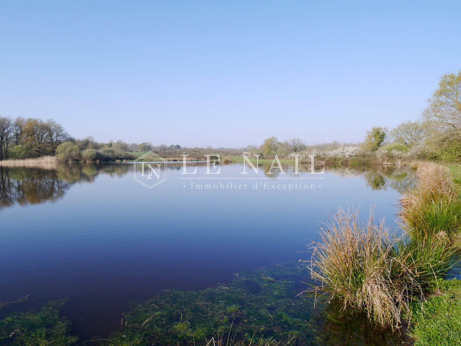 hunting estate 11 rooms for sale on CHATEAUROUX (36000)