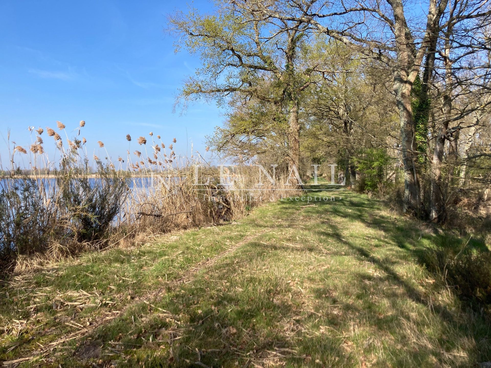 hunting estate 11 rooms for sale on CHATEAUROUX (36000)