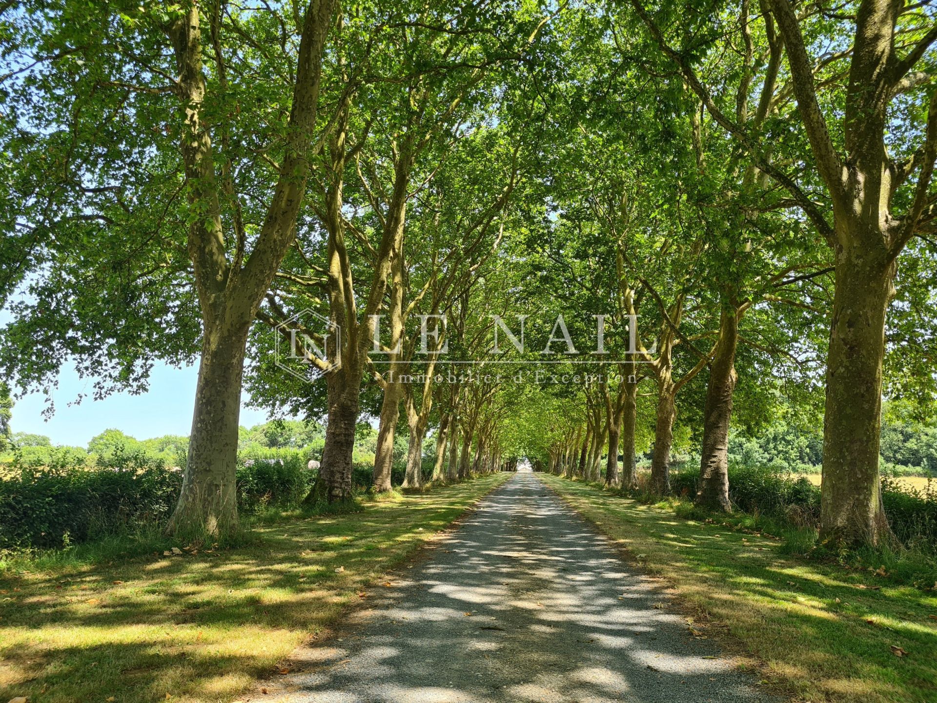 château 20 pièces en vente à FONTENAY LE COMTE (85200)