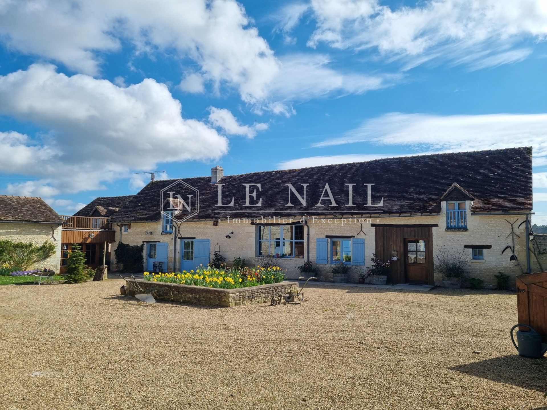 farm complex 9 rooms for sale on RICHELIEU (37120)