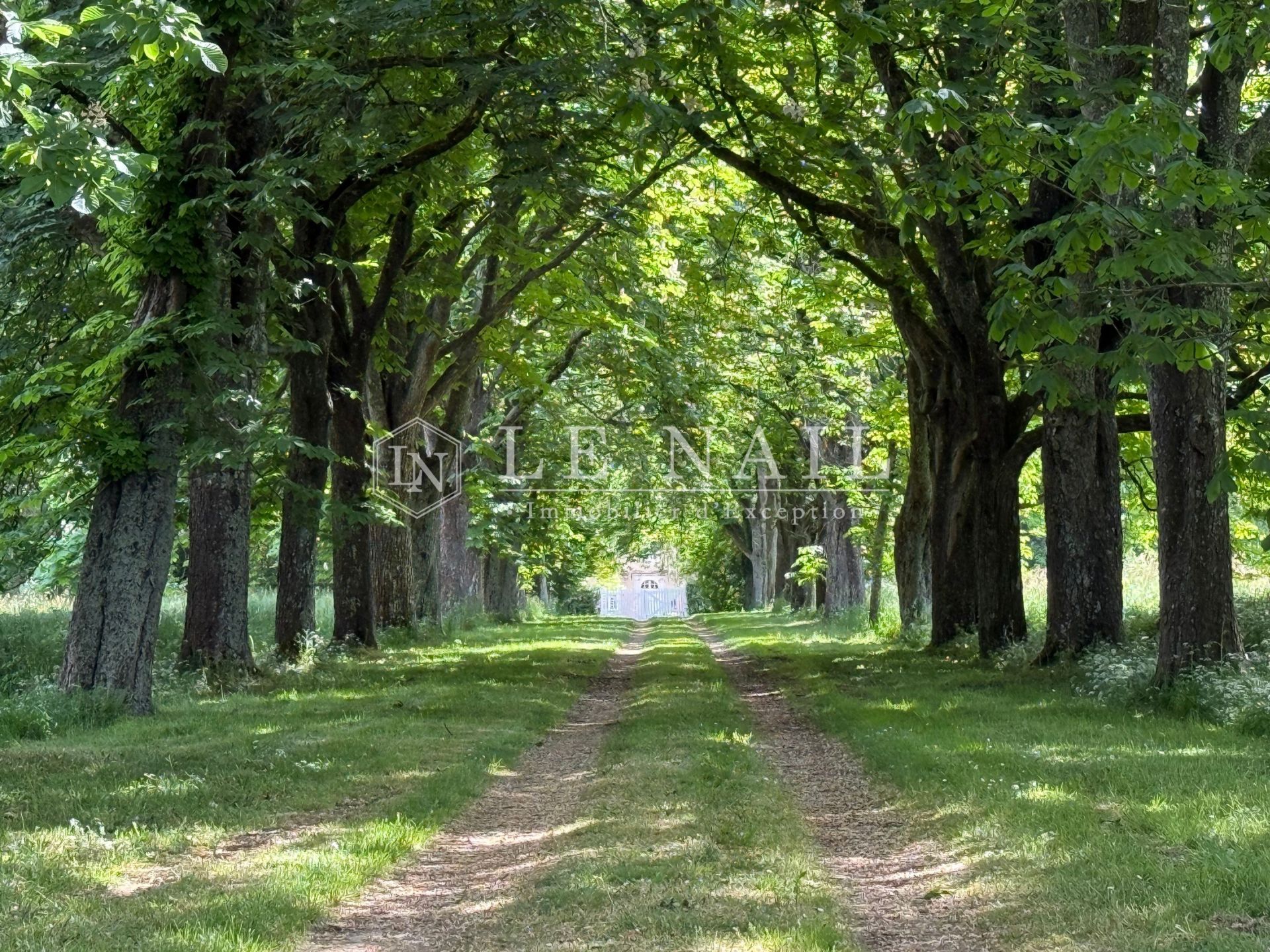 propriété 17 pièces en vente à CHATEAU GONTIER (53200)