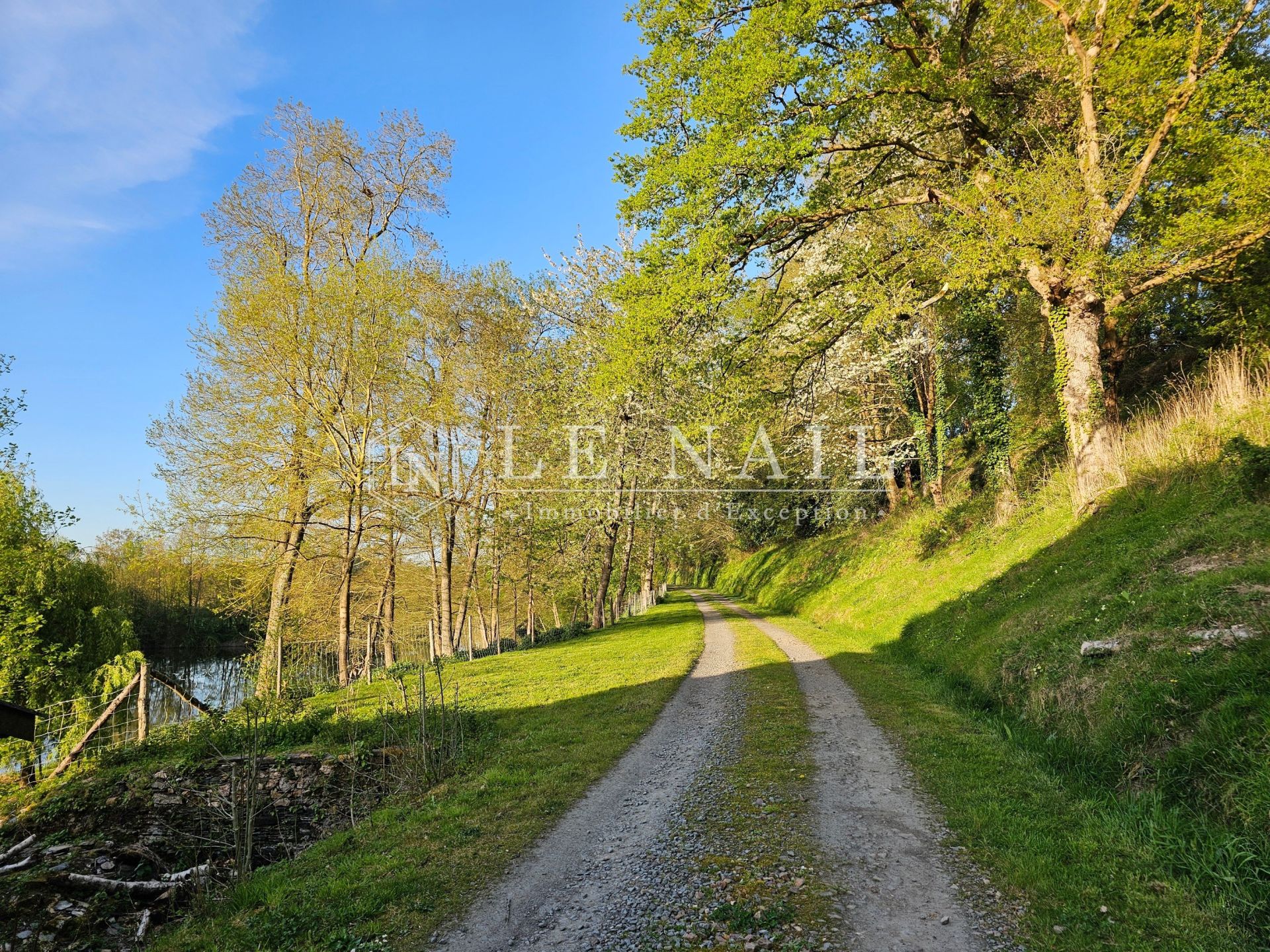 maison 8 pièces en vente à SEGRE EN ANJOU BLEU (49500)