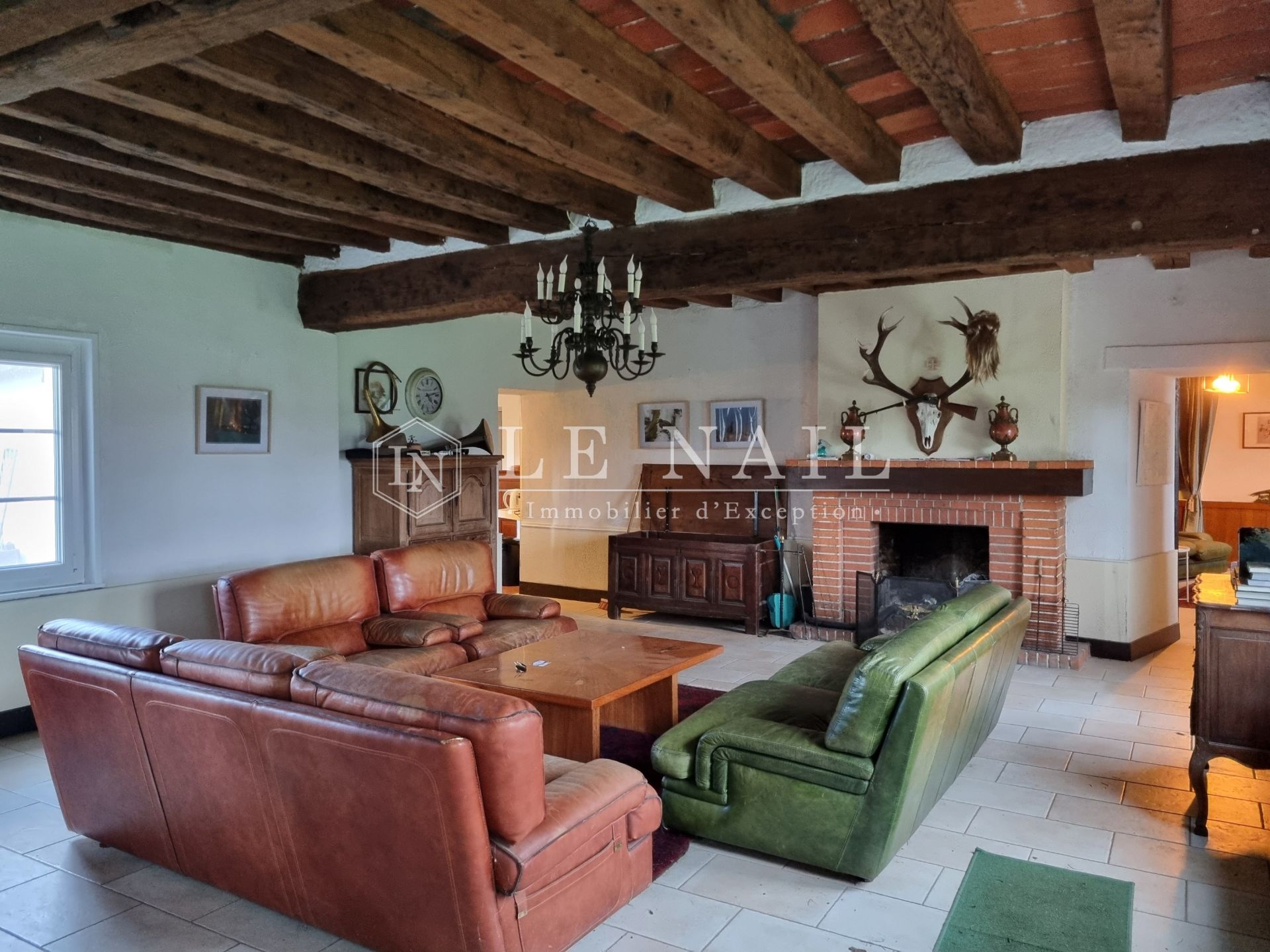 hunting estate 8 rooms for sale on SALBRIS (41300)