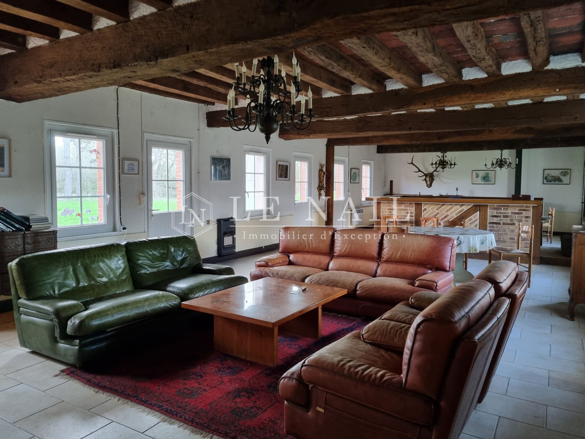 hunting estate 8 rooms for sale on SALBRIS (41300)