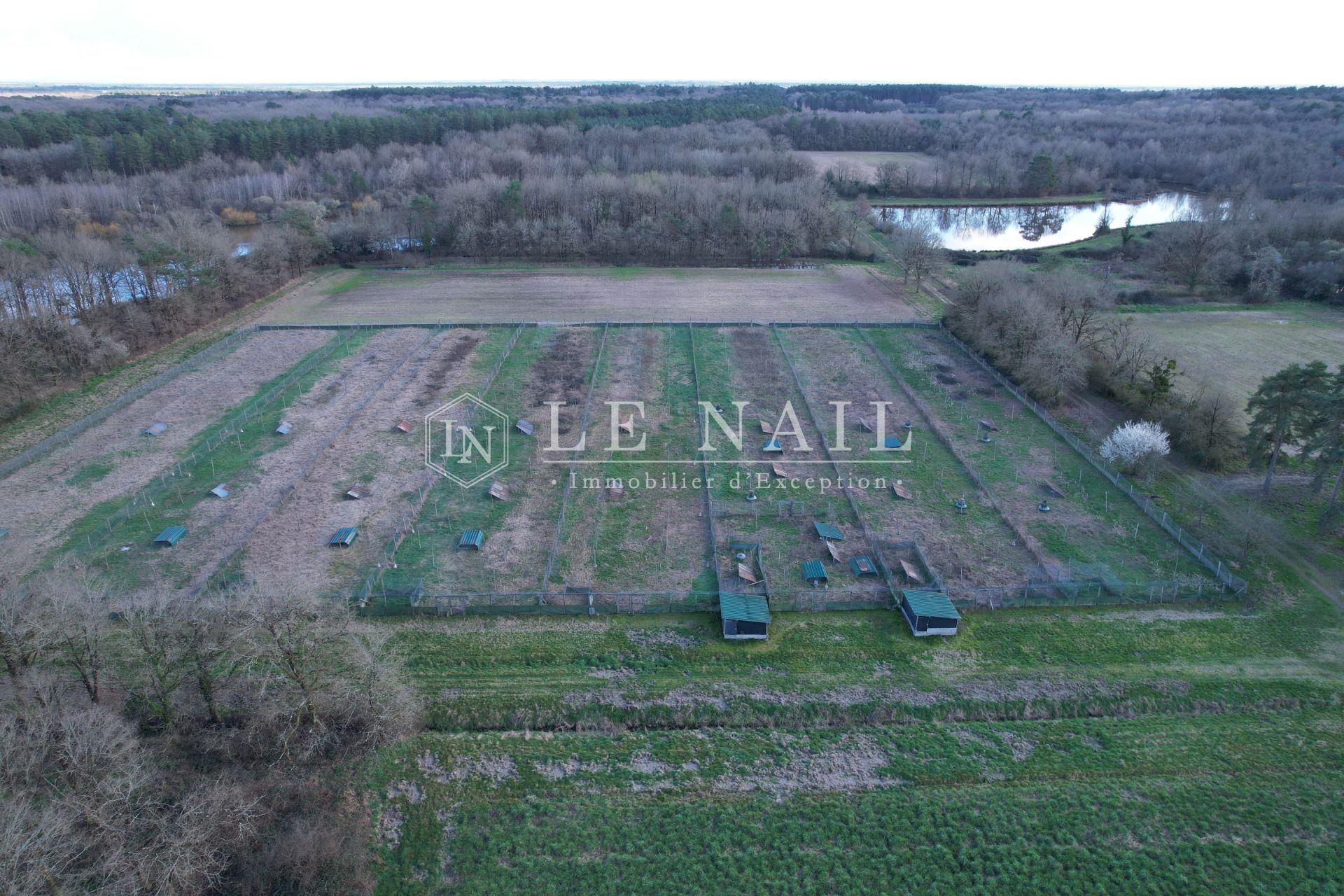 hunting estate 8 rooms for sale on SALBRIS (41300)