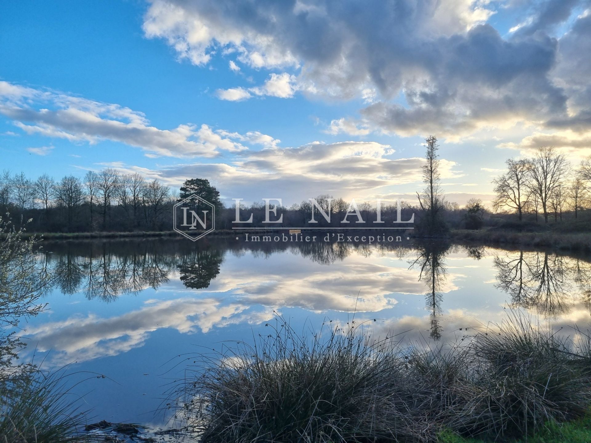 hunting estate 8 rooms for sale on SALBRIS (41300)