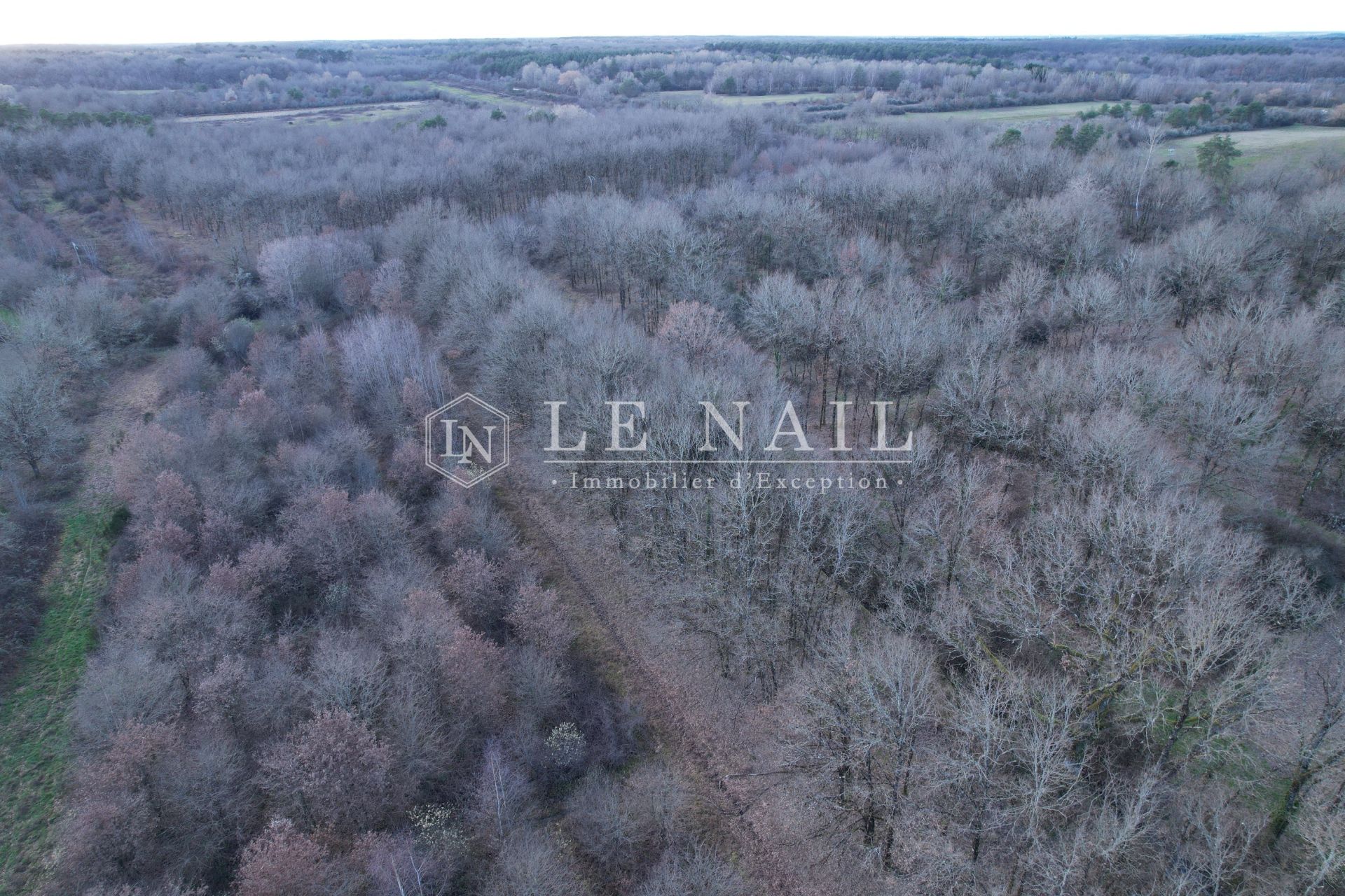 propriété de chasse 8 pièces en vente à SALBRIS (41300)