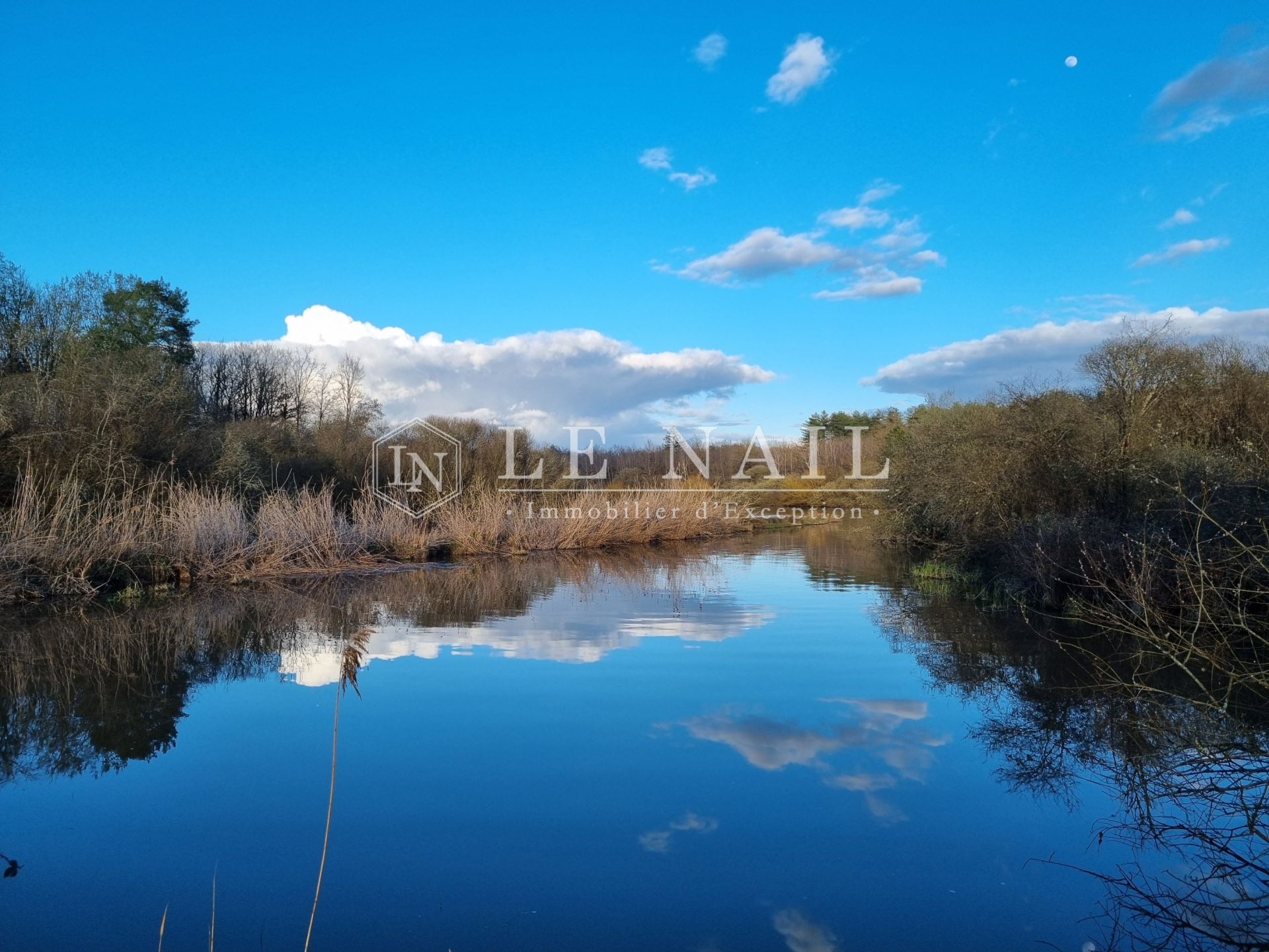 hunting estate 8 rooms for sale on SALBRIS (41300)