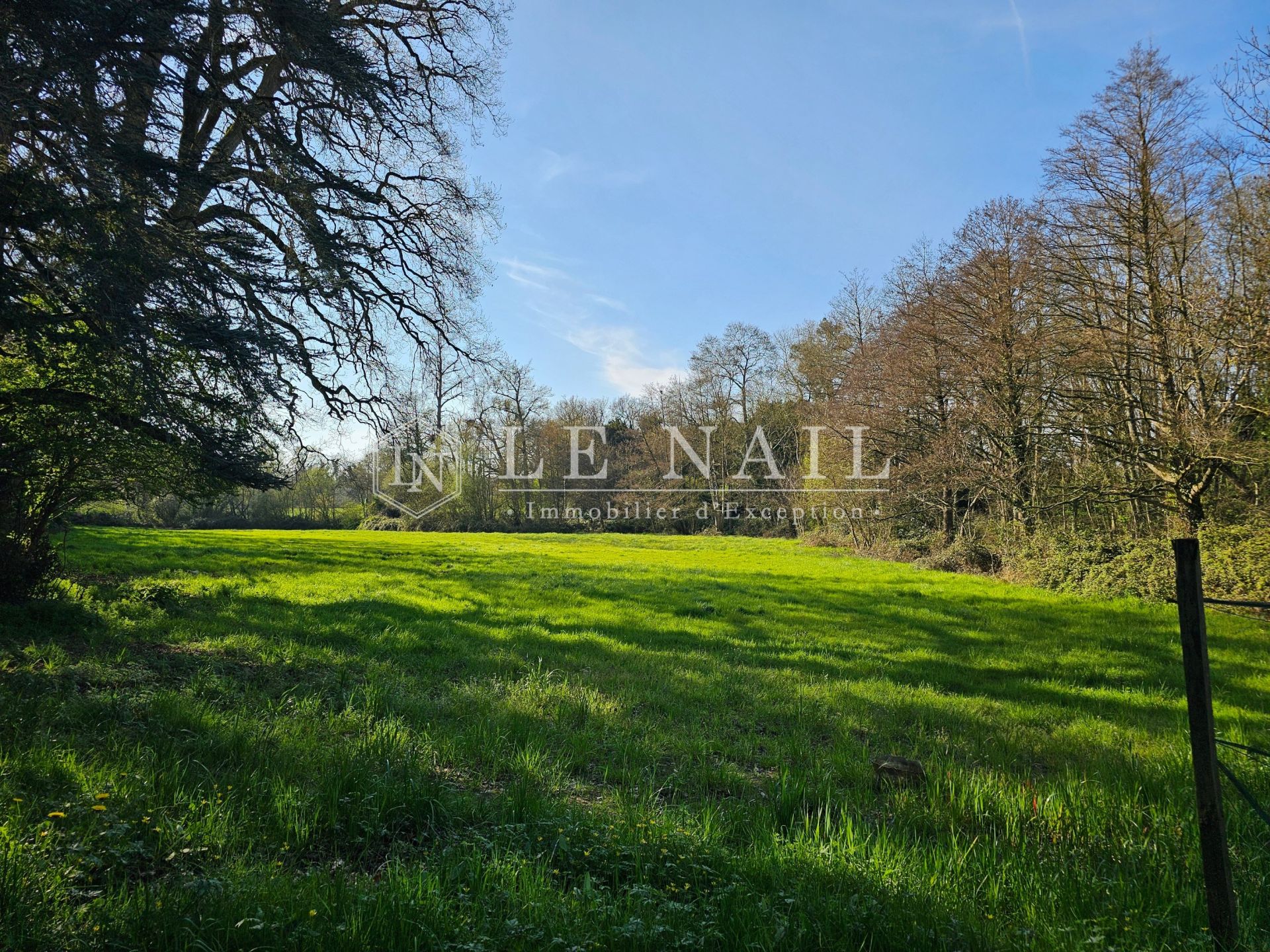 castle 30 rooms for sale on ANGERS (49000)