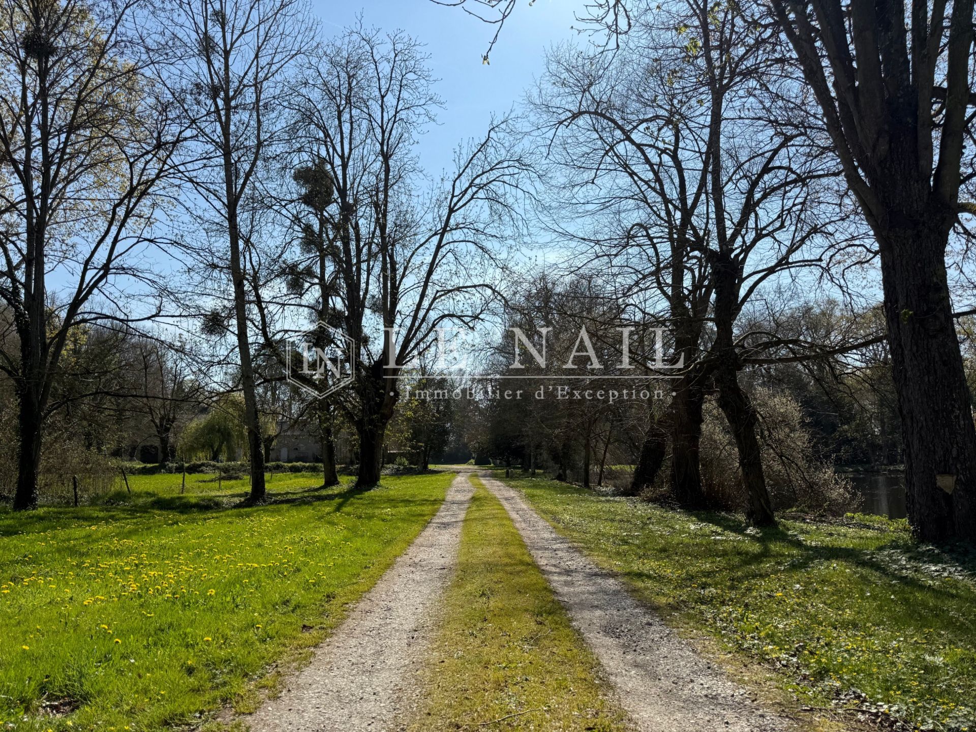 maison de maître 13 pièces en vente à CHATEAU GONTIER (53200)