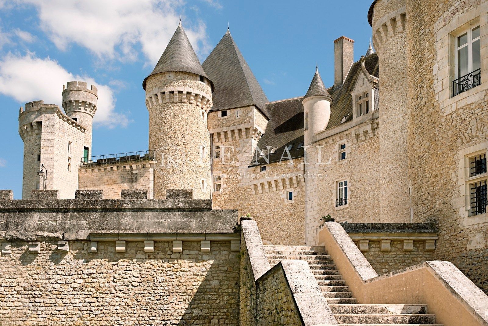 château 33 pièces en vente à ARGENTON SUR CREUSE (36200)