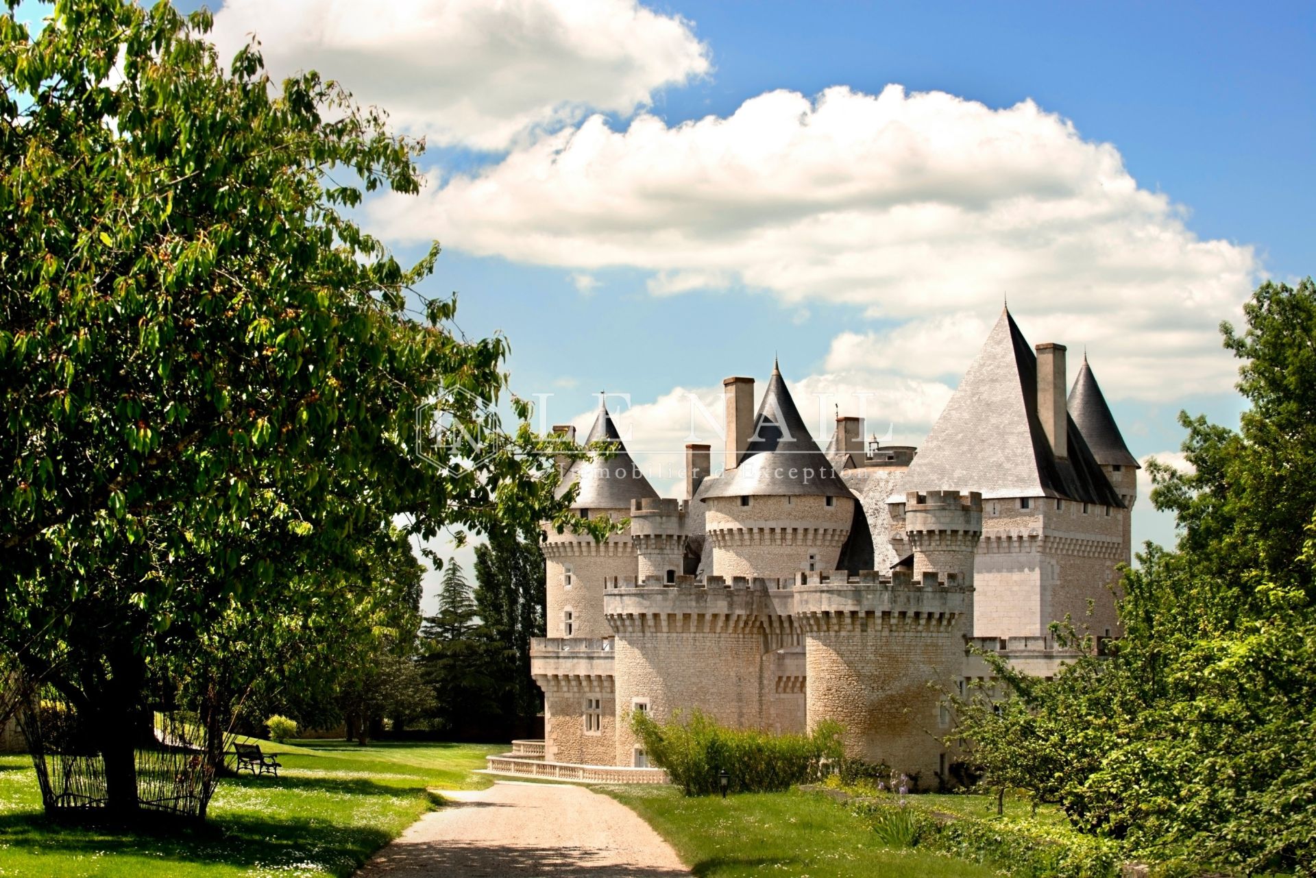 château 33 pièces en vente à ARGENTON SUR CREUSE (36200)