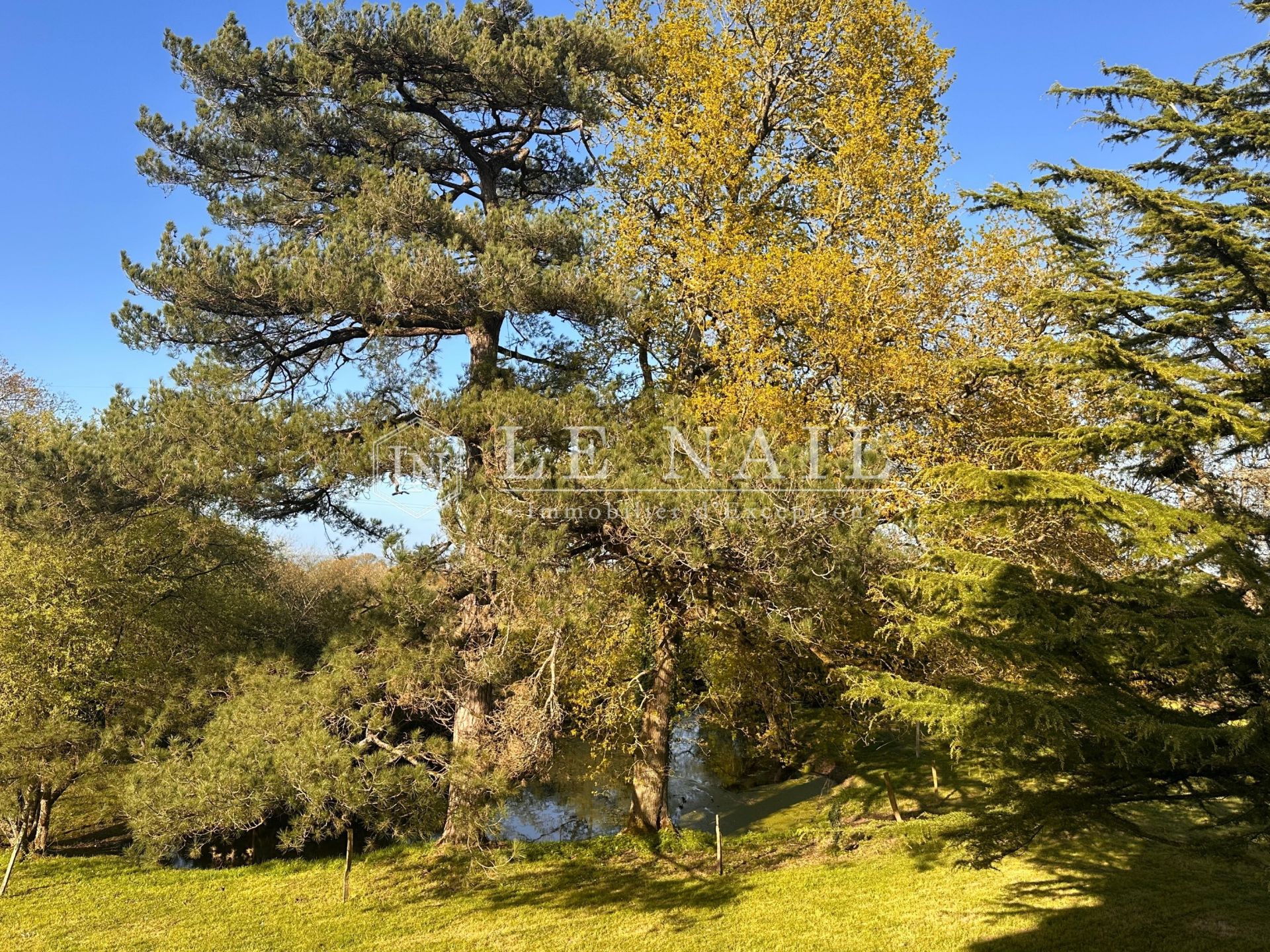 château 12 pièces en vente à FROSSAY (44320)