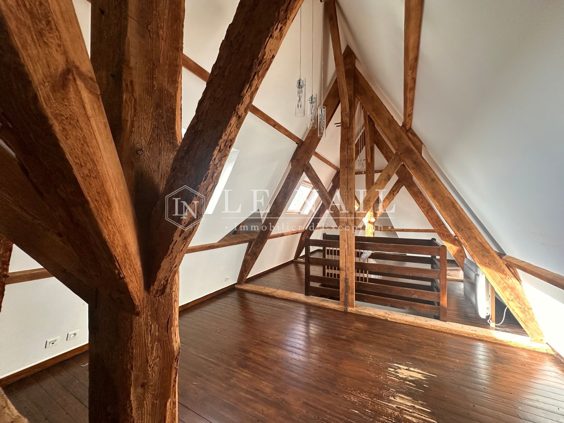 château 12 pièces en vente à FROSSAY (44320)