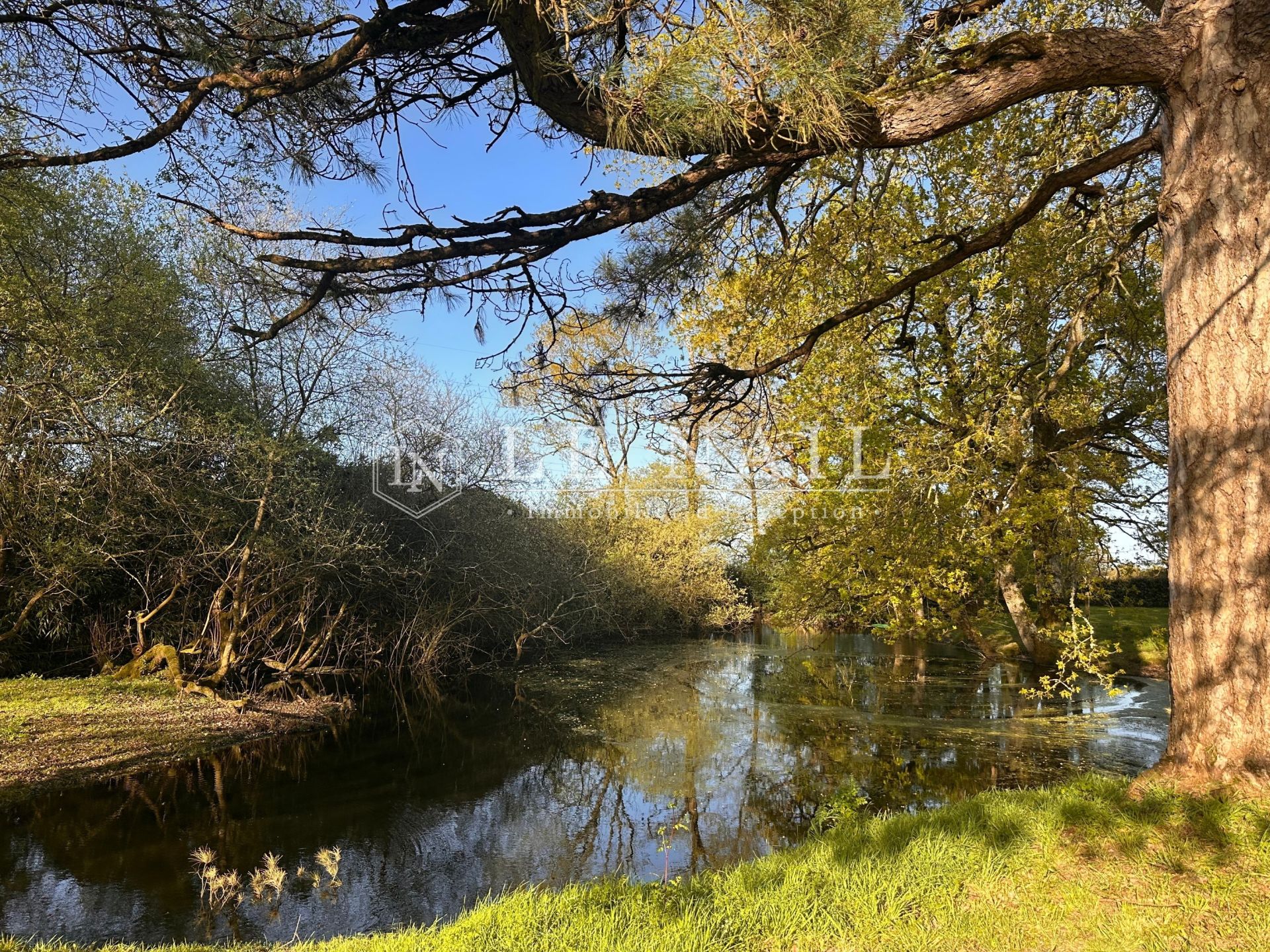 château 12 pièces en vente à FROSSAY (44320)