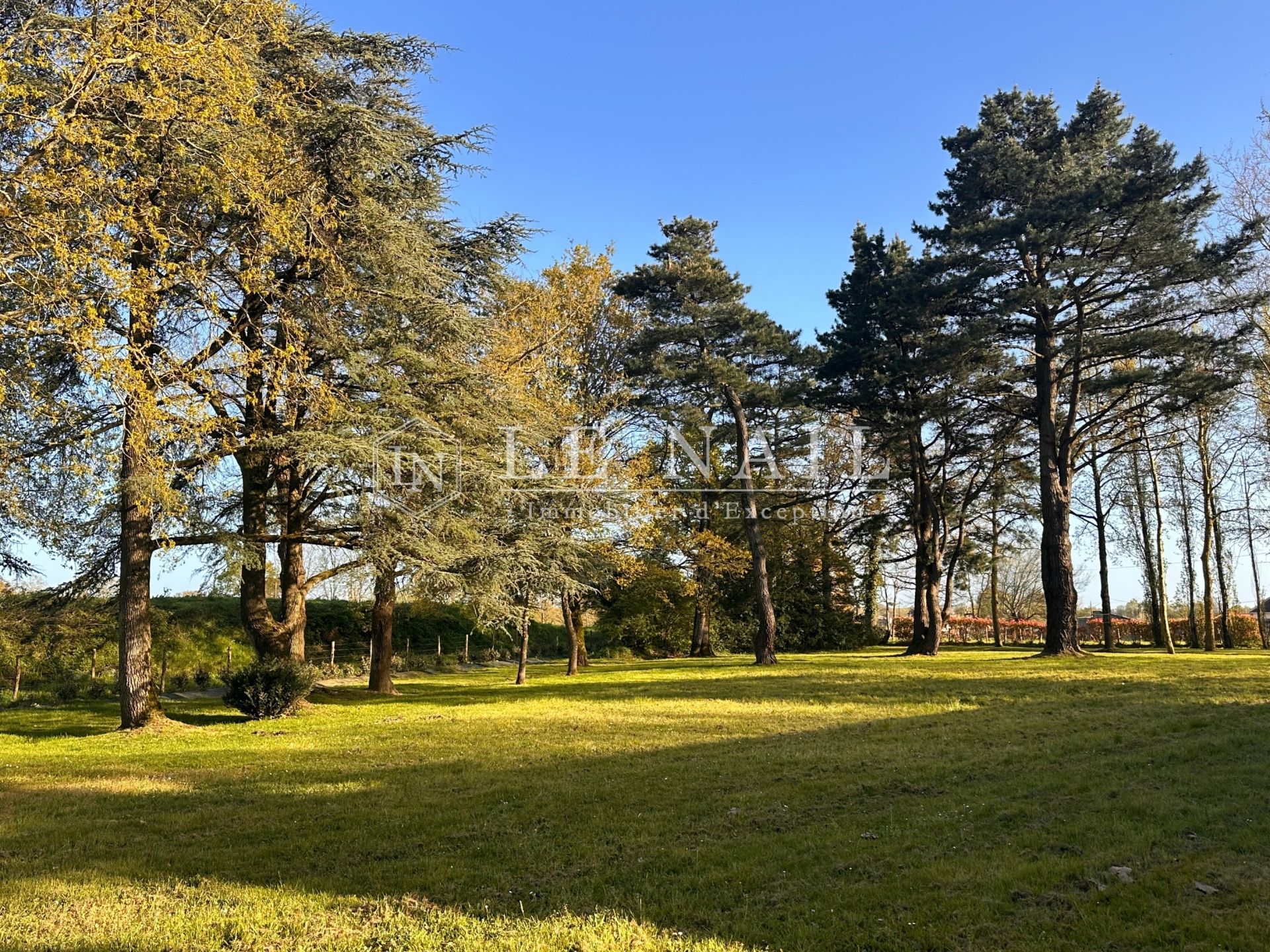 château 12 pièces en vente à FROSSAY (44320)