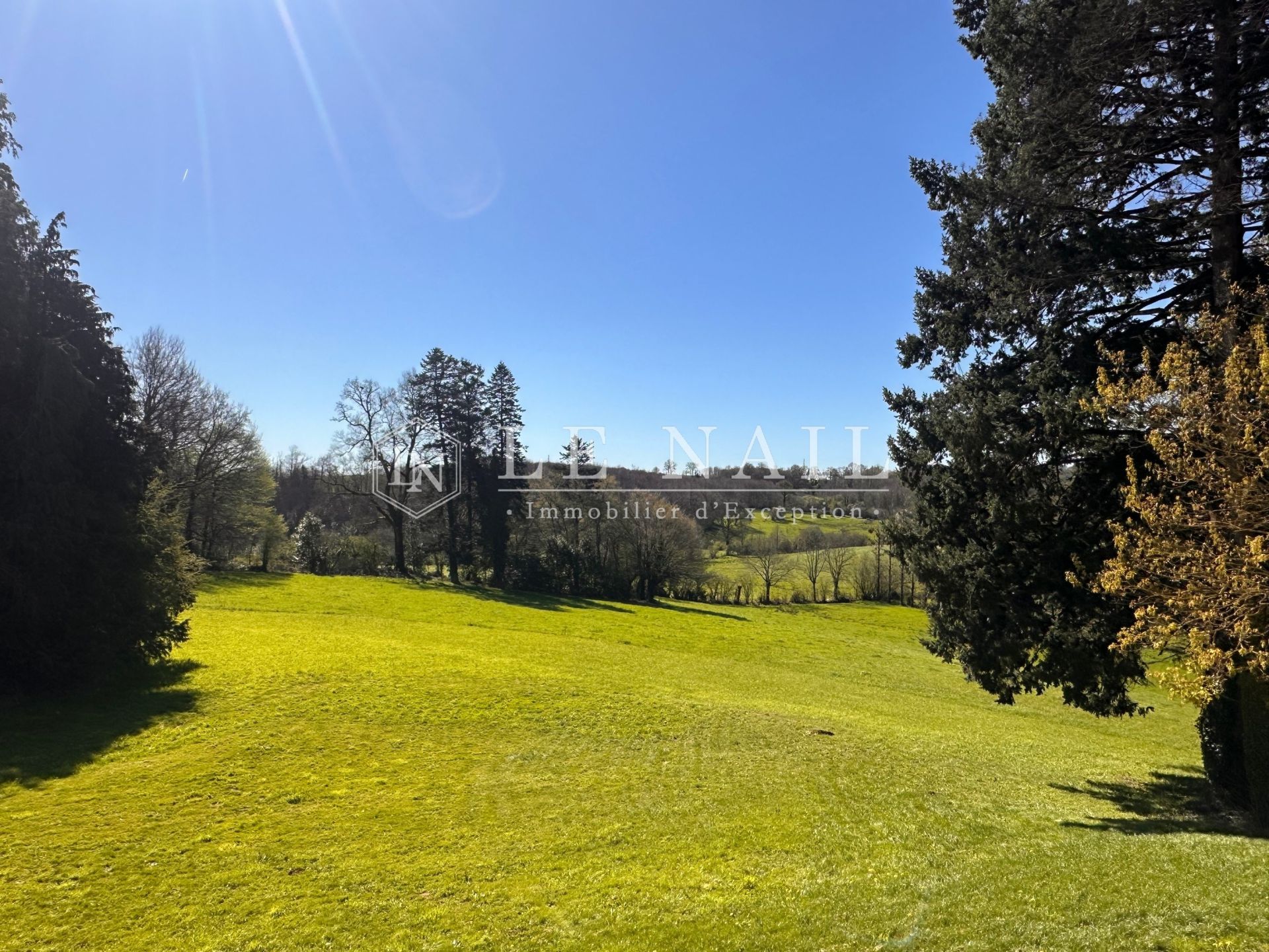 castle 16 rooms for sale on ST MESMIN (85700)