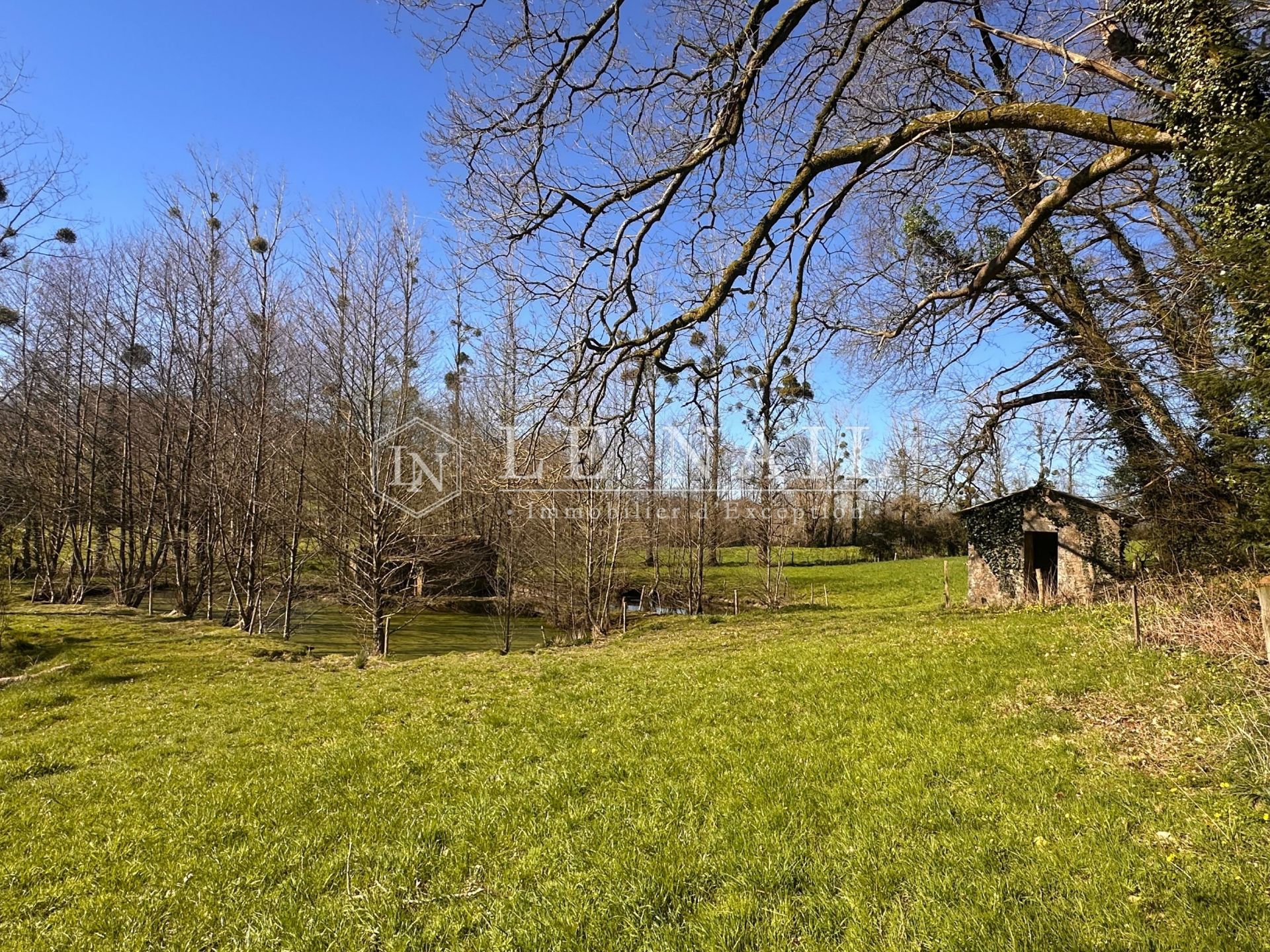 castle 16 rooms for sale on ST MESMIN (85700)