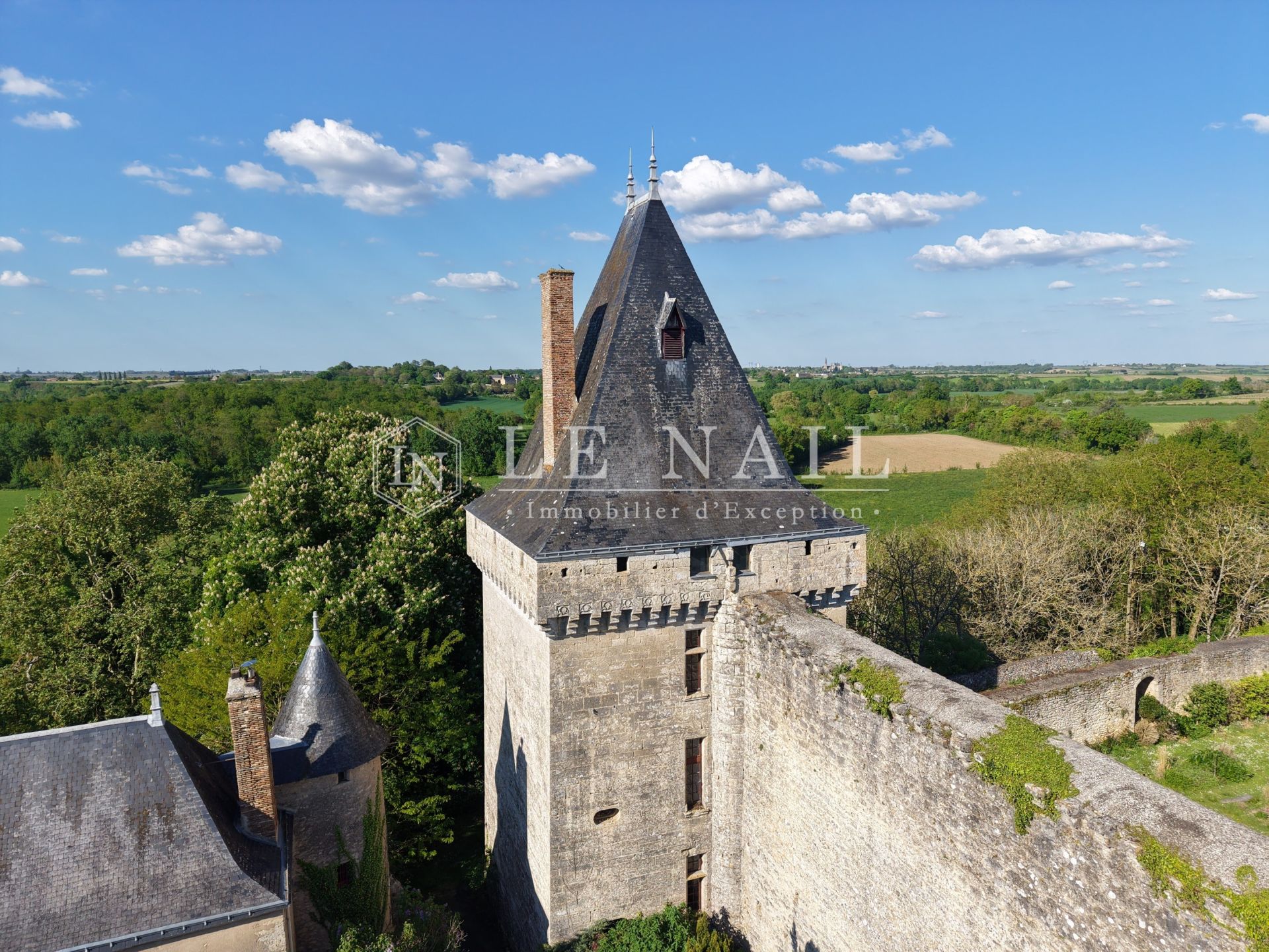 castle 9 rooms for sale on ANGERS (49100)