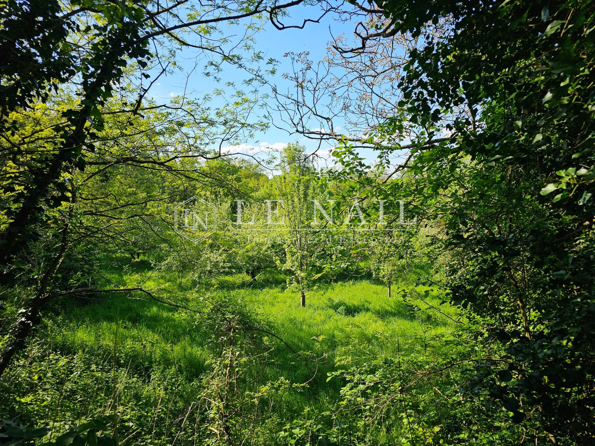 château 9 pièces en vente à ANGERS (49100)