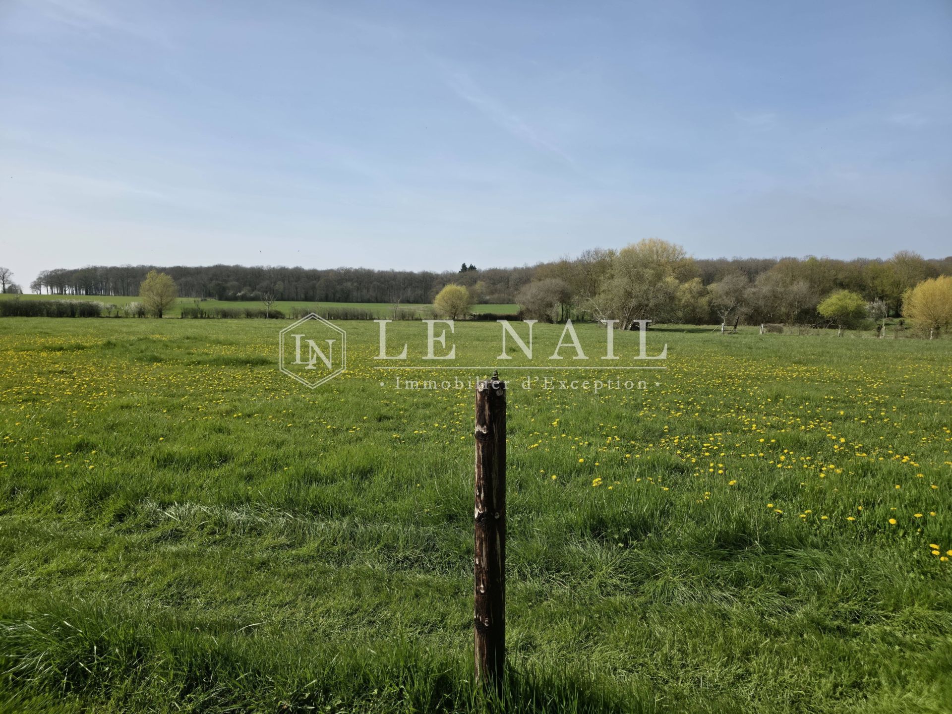 manoir 9 pièces en vente à SEES (61500)