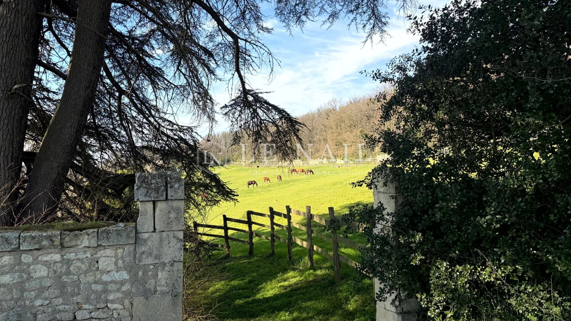 château 15 pièces en vente à CHINON (37500)
