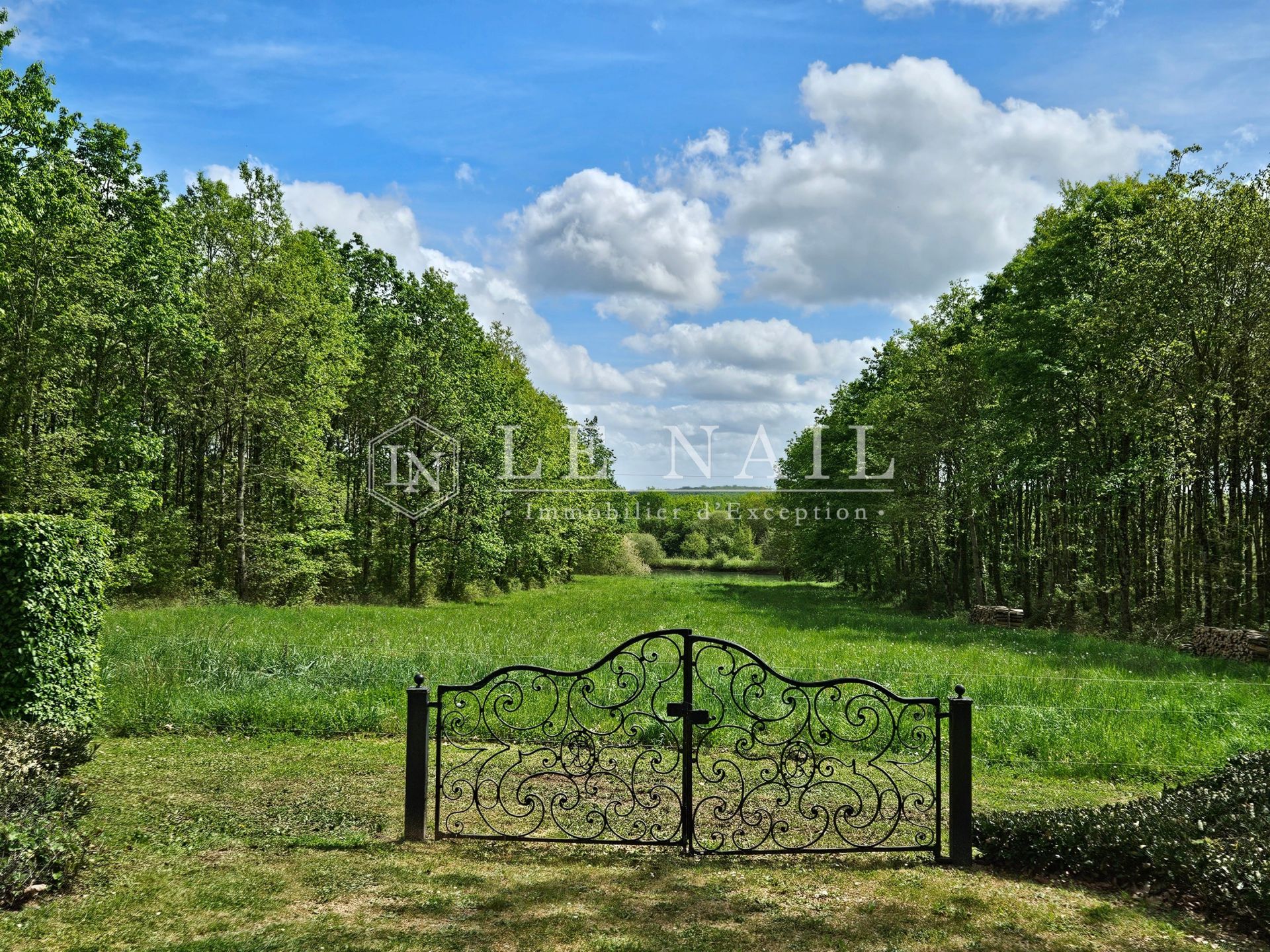 castle 19 rooms for sale on SABLE SUR SARTHE (72300)