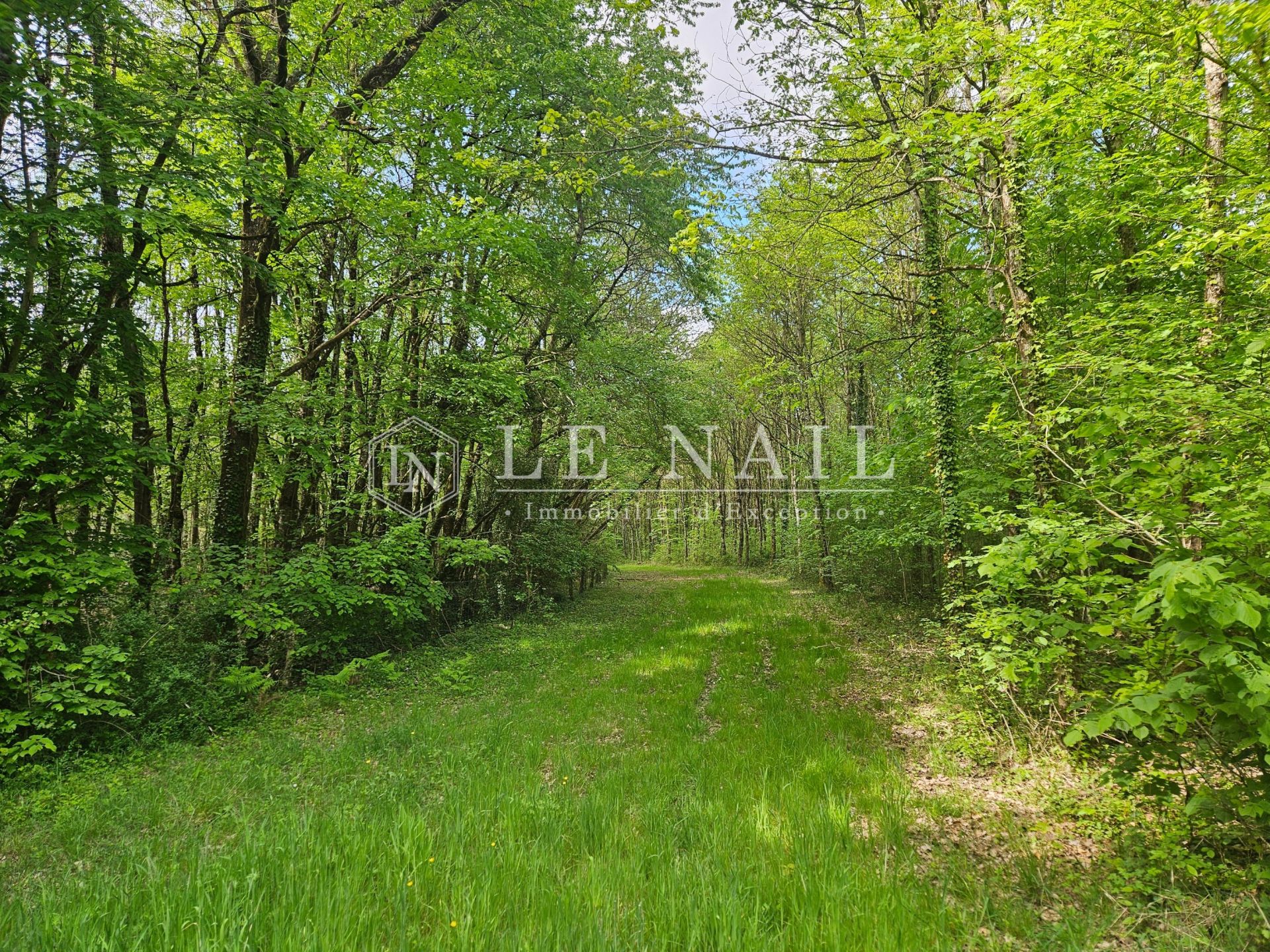 castle 19 rooms for sale on SABLE SUR SARTHE (72300)