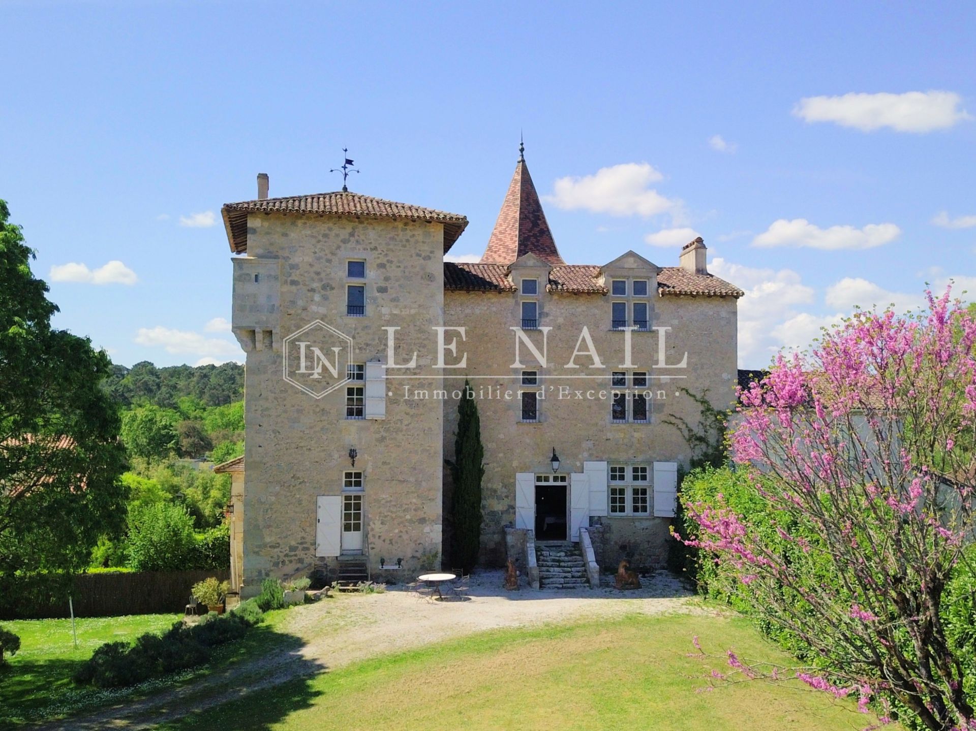 château 6 pièces en vente à NERAC (47600)