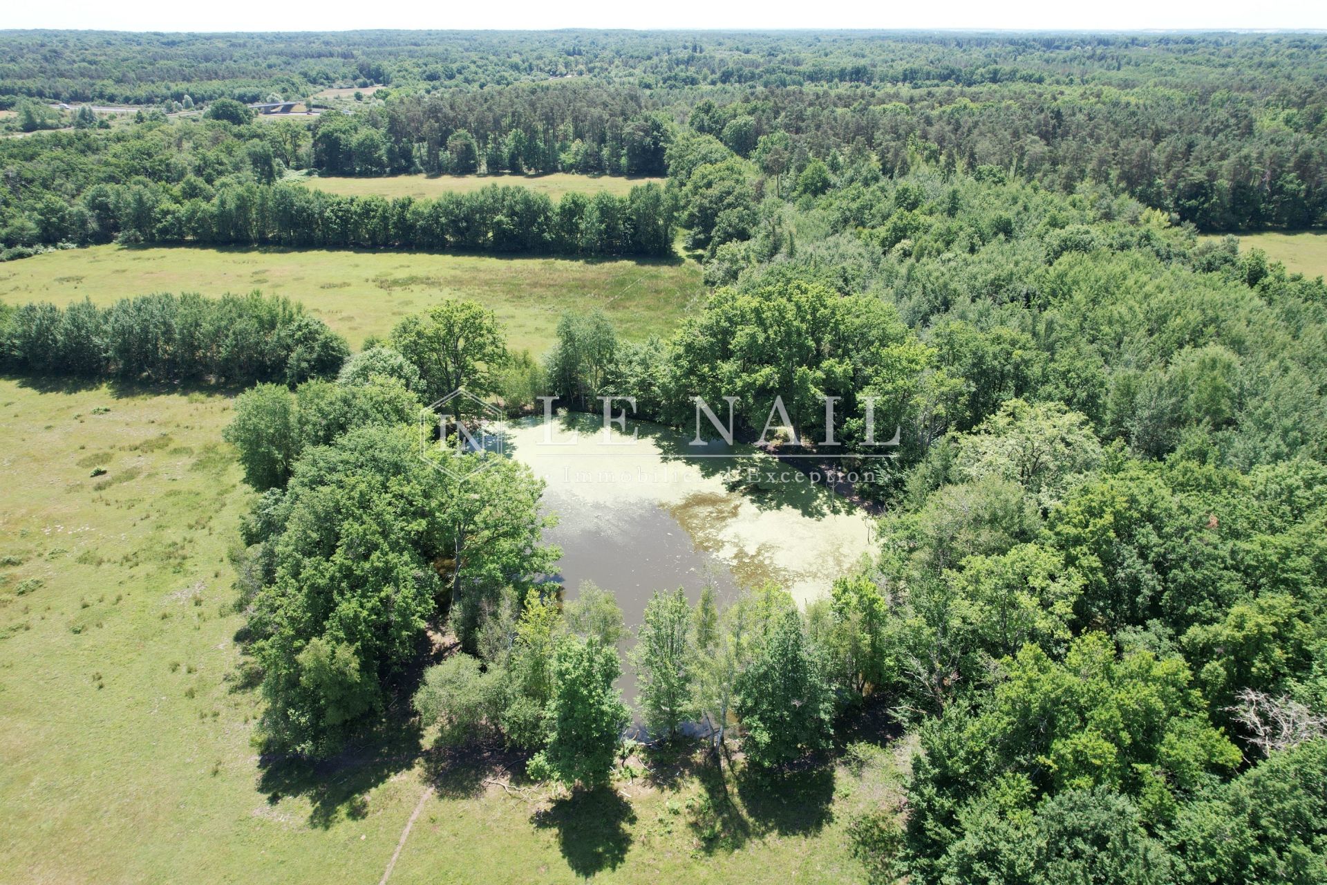 propriété de chasse 7 pièces en vente à SALBRIS (41300)