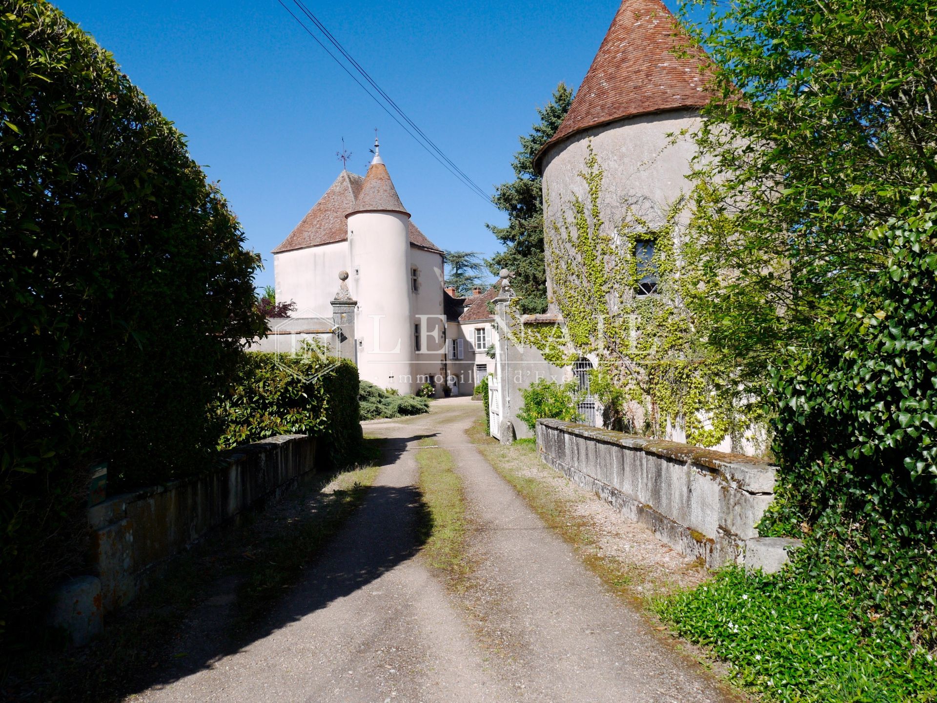 château 14 pièces en vente à CHATEAUMEILLANT (18370)