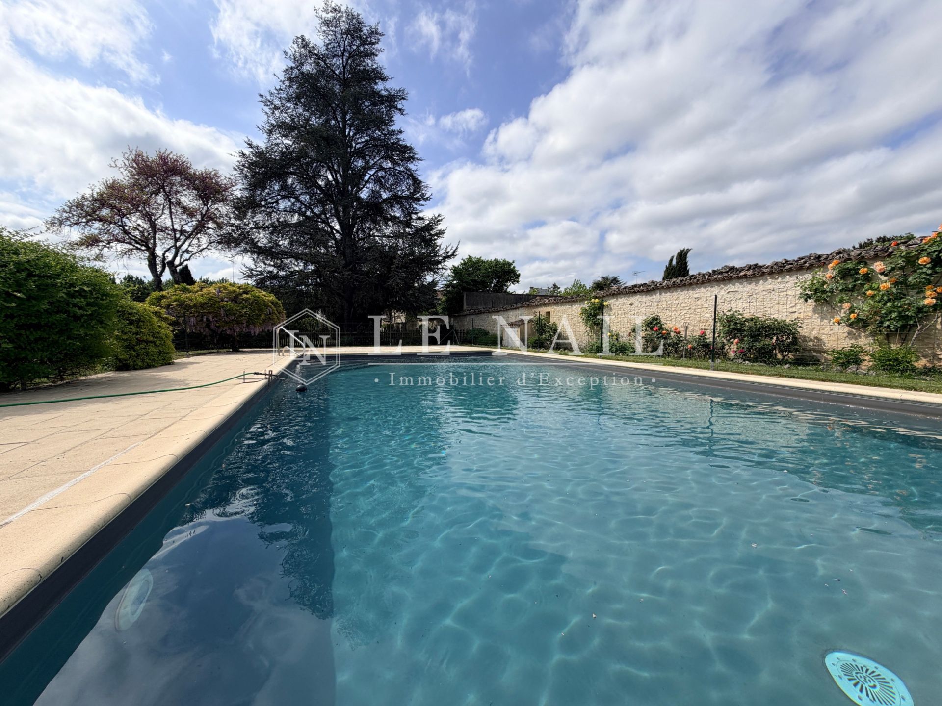 mansion 10 rooms for sale on JARNAC (16200)