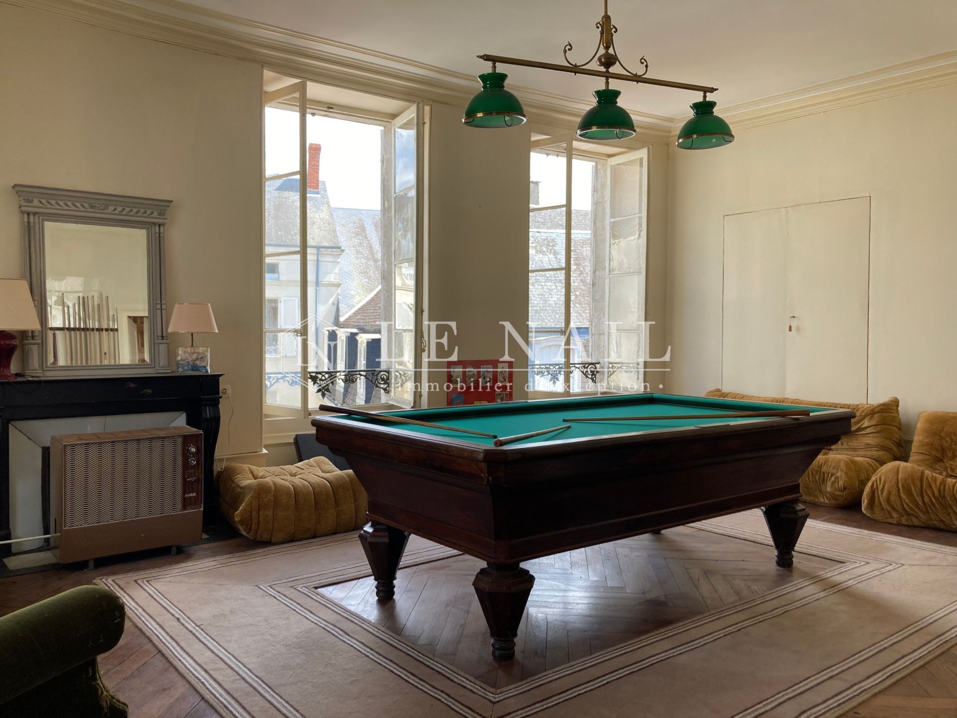 mansion (hôtel particulier) 12 rooms for sale on ISSOUDUN (36100)
