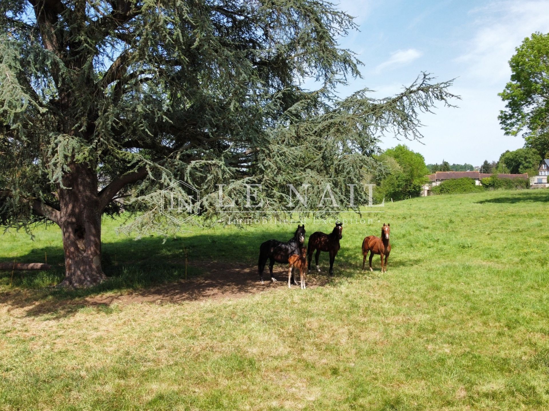 manor house 15 rooms for sale on ST HILAIRE DU HARCOUET (50600)