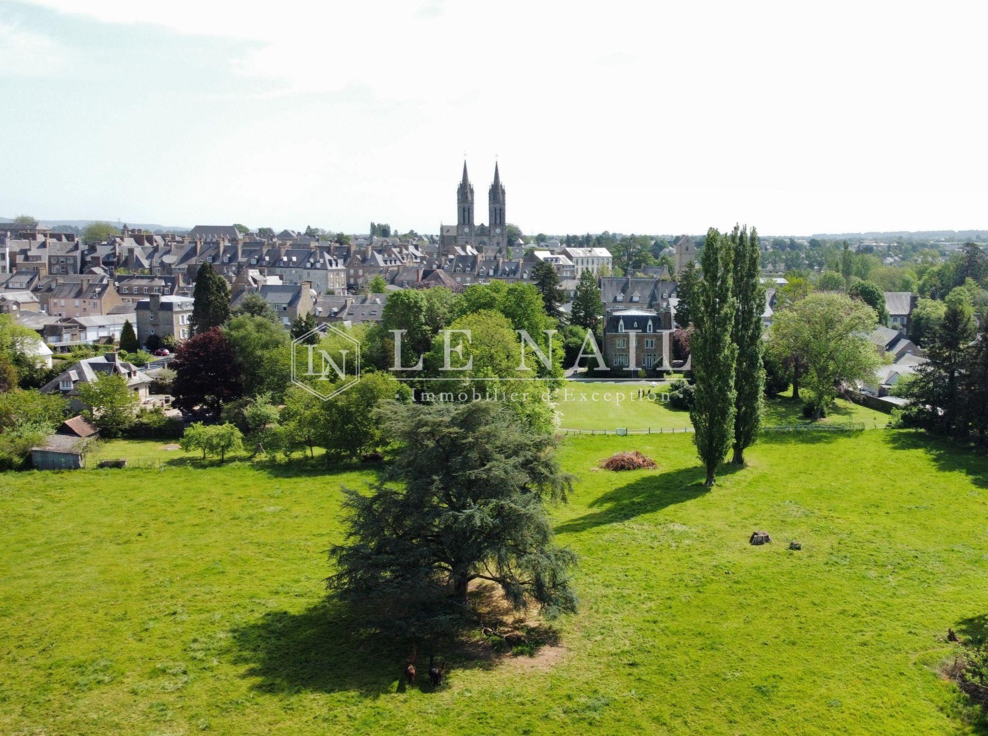 manor house 15 rooms for sale on ST HILAIRE DU HARCOUET (50600)