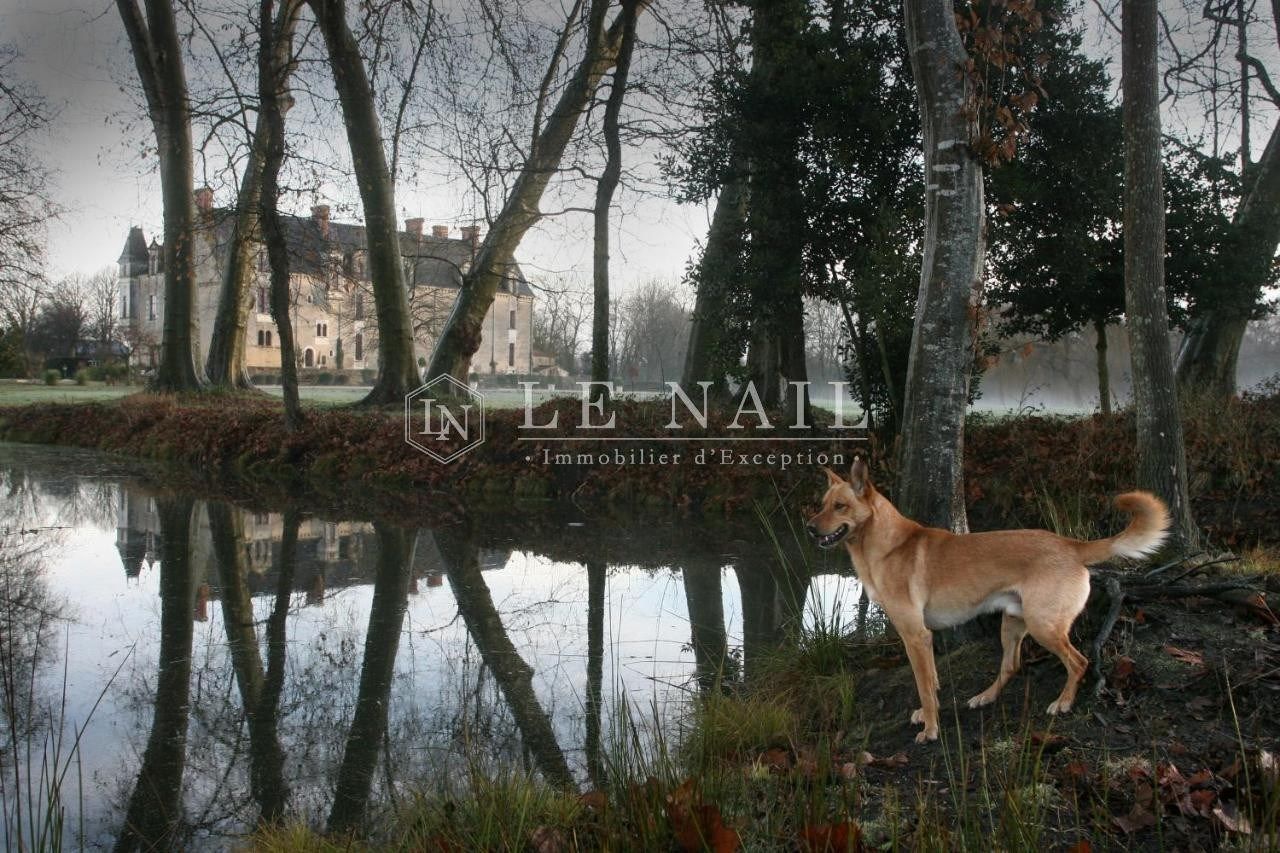 castle 30 rooms for sale on LA ROCHE SUR YON (85000)
