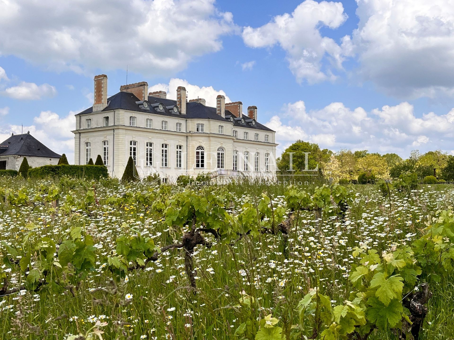 château 12 pièces en vente à NORT SUR ERDRE (44390)